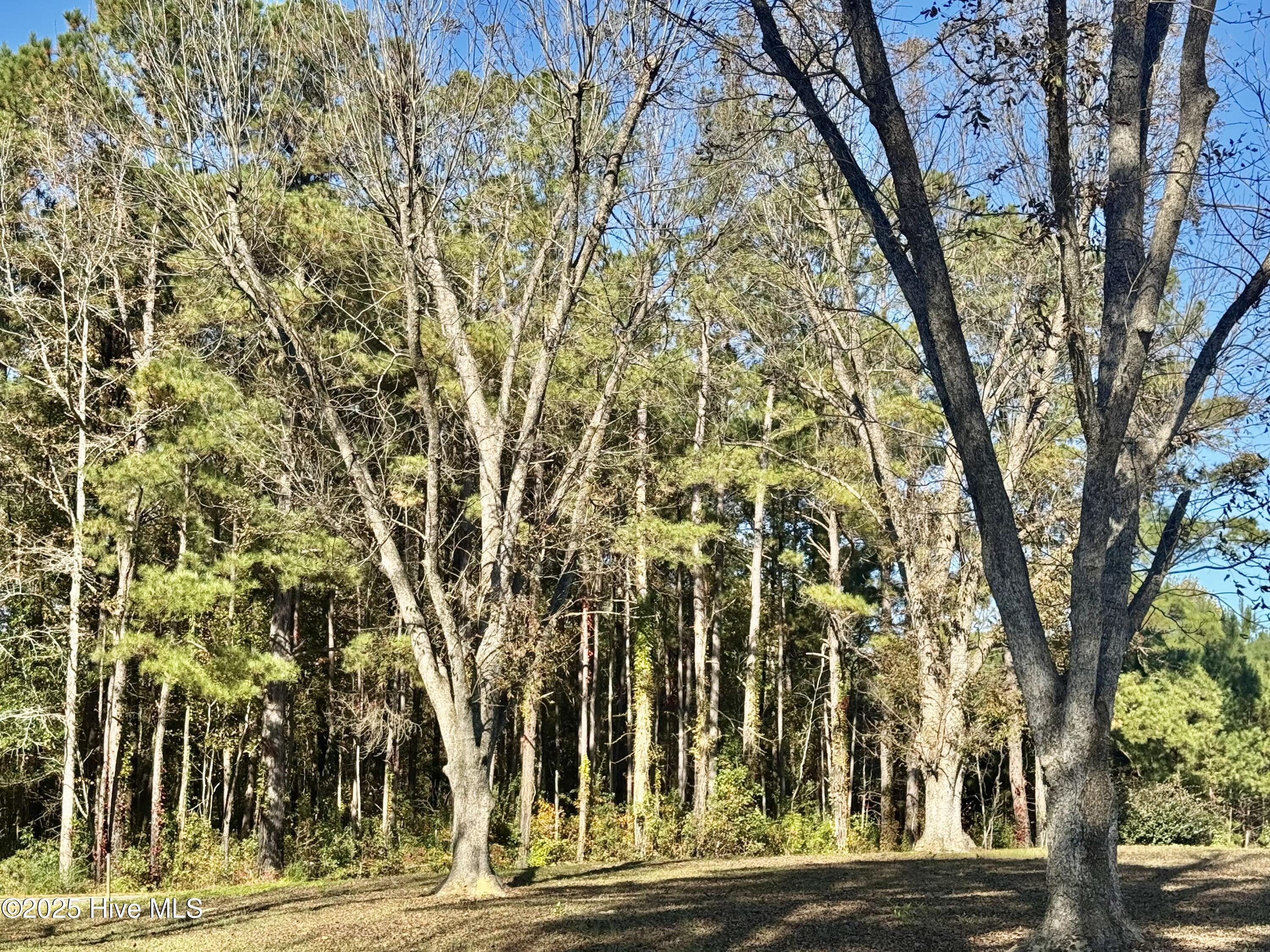 100541845 | Photo 13