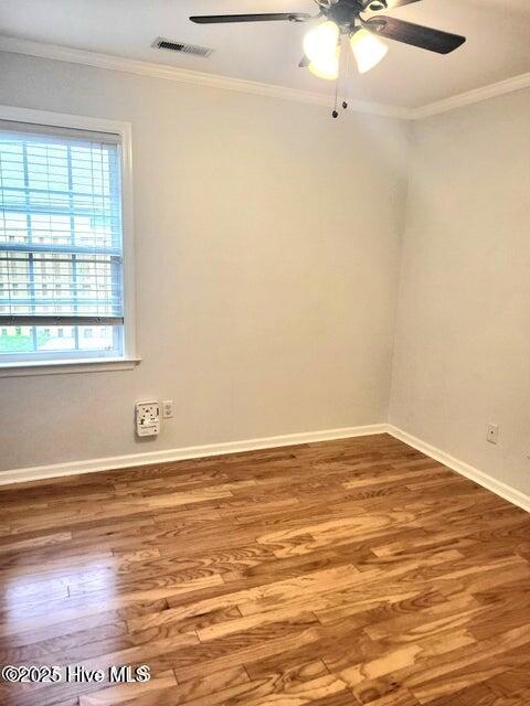 100539939 | Photo 25