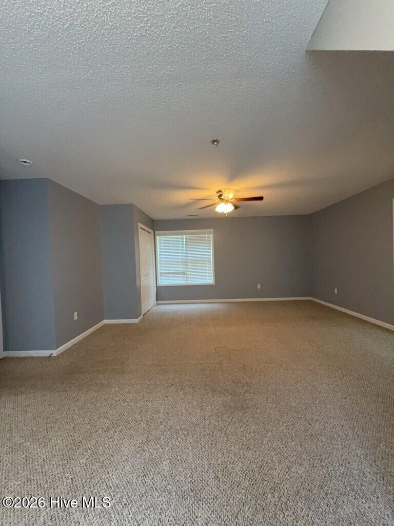 100551327 | Photo 11