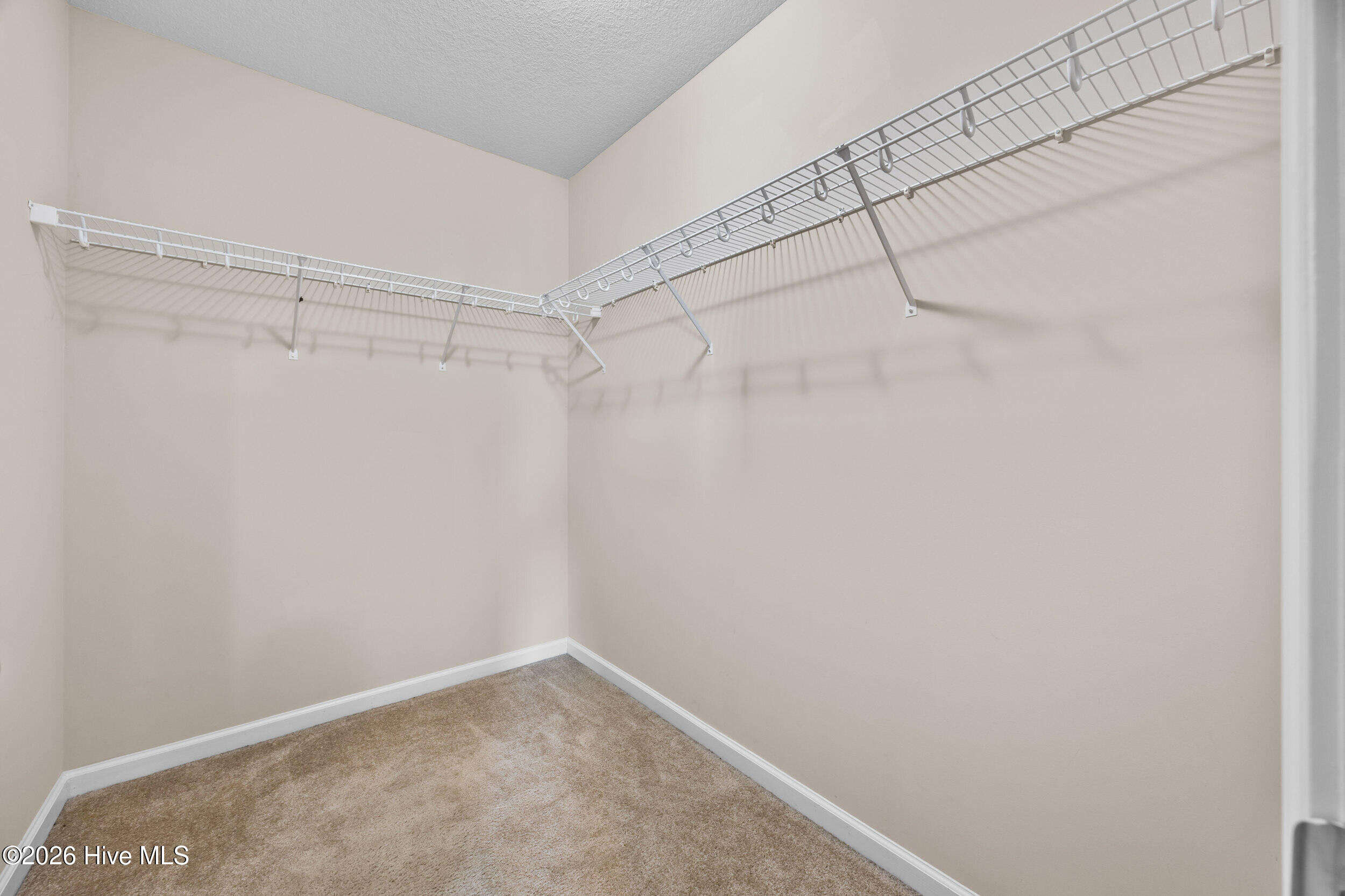 100548661 | Photo 42