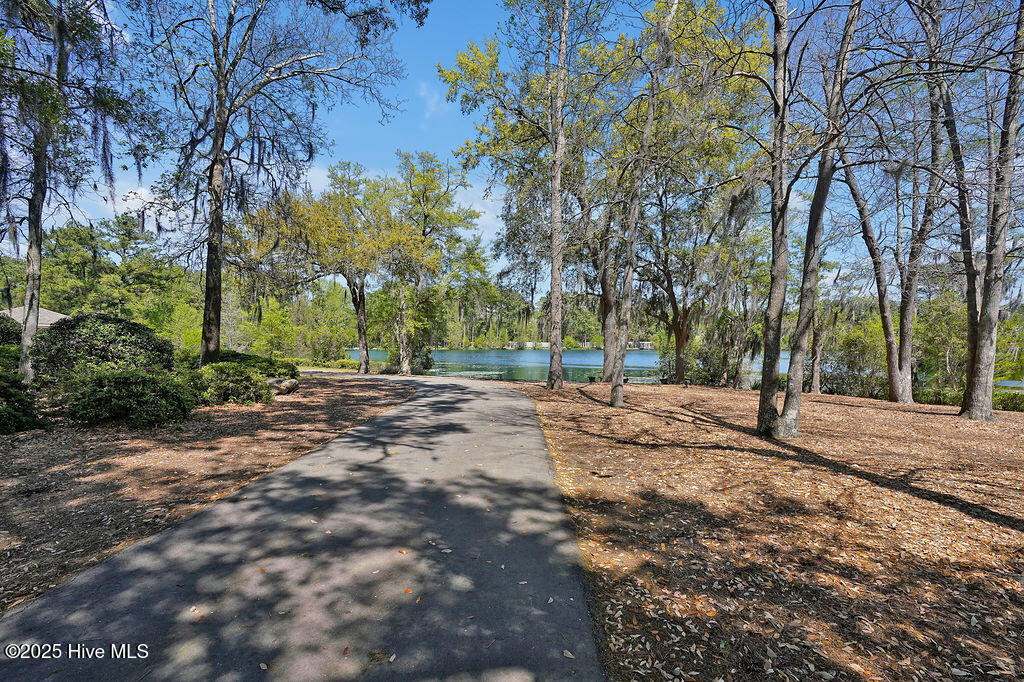 100531684 | Photo 56