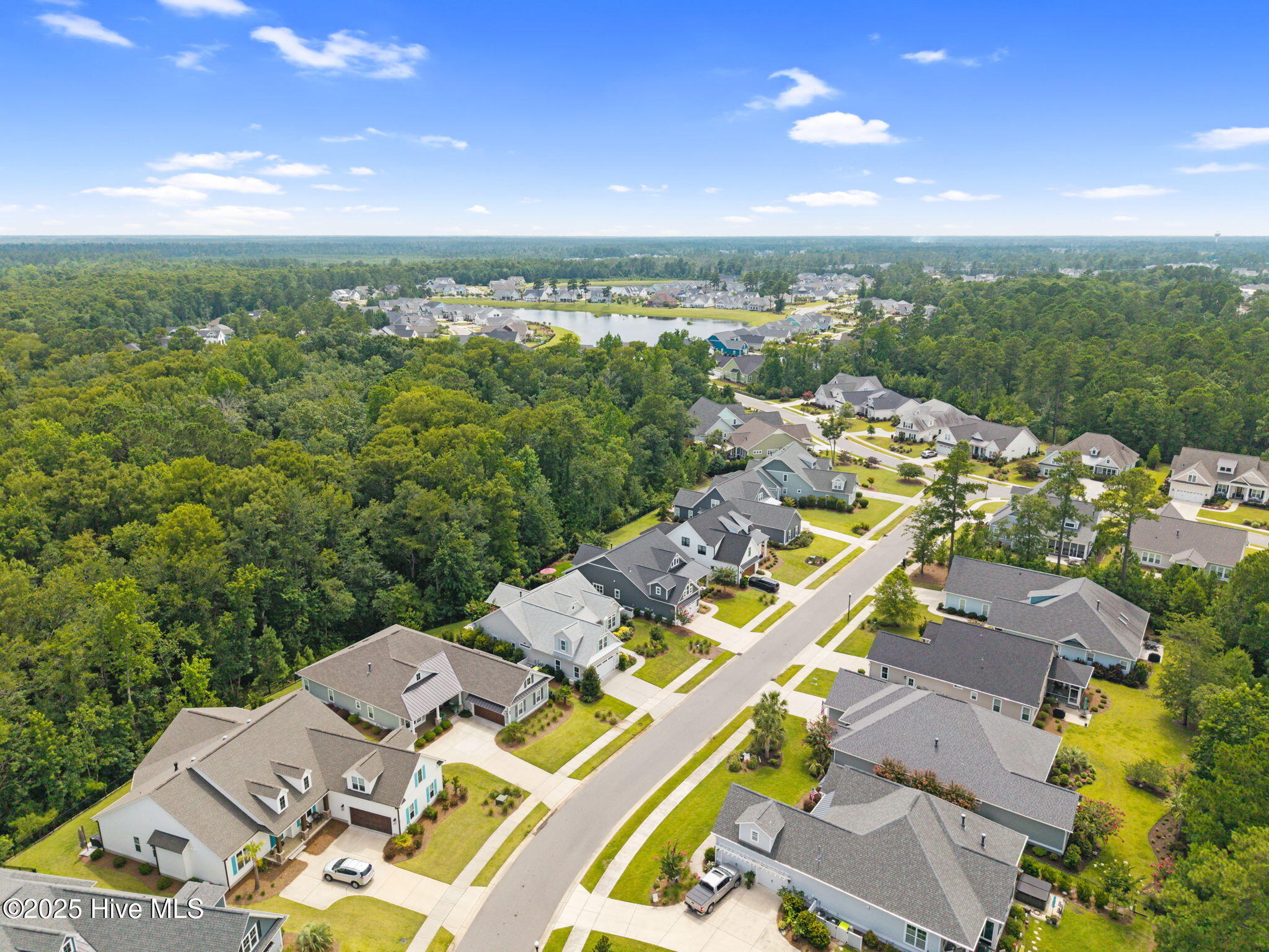 100529487 | Photo 46