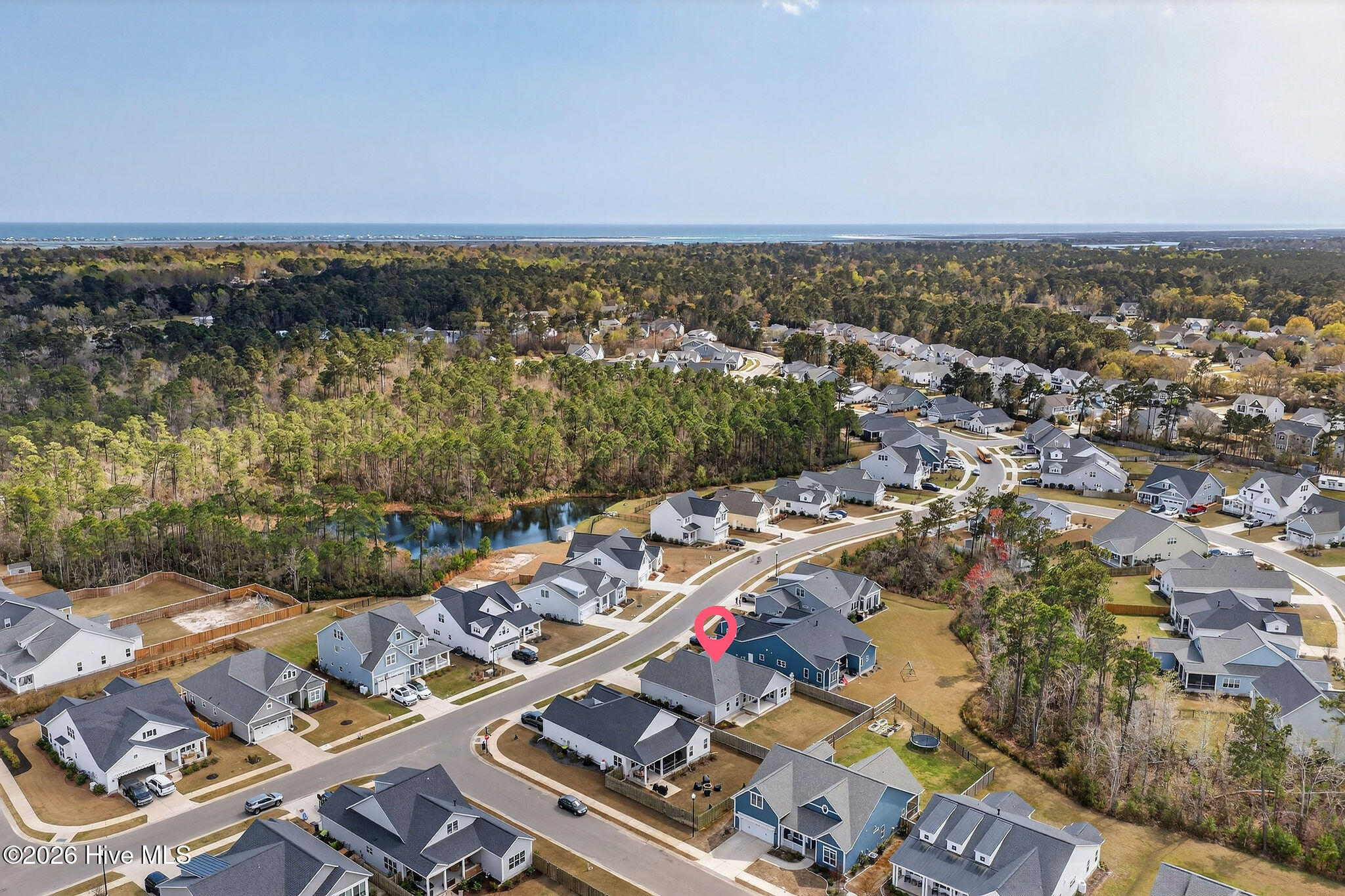 100563102 | Photo 43