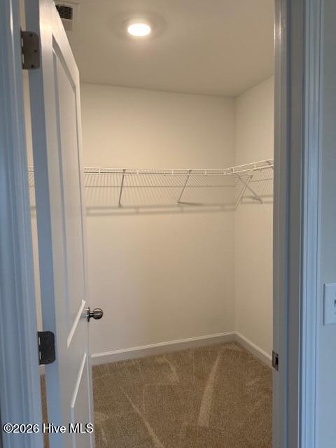 100523554 | Photo 20