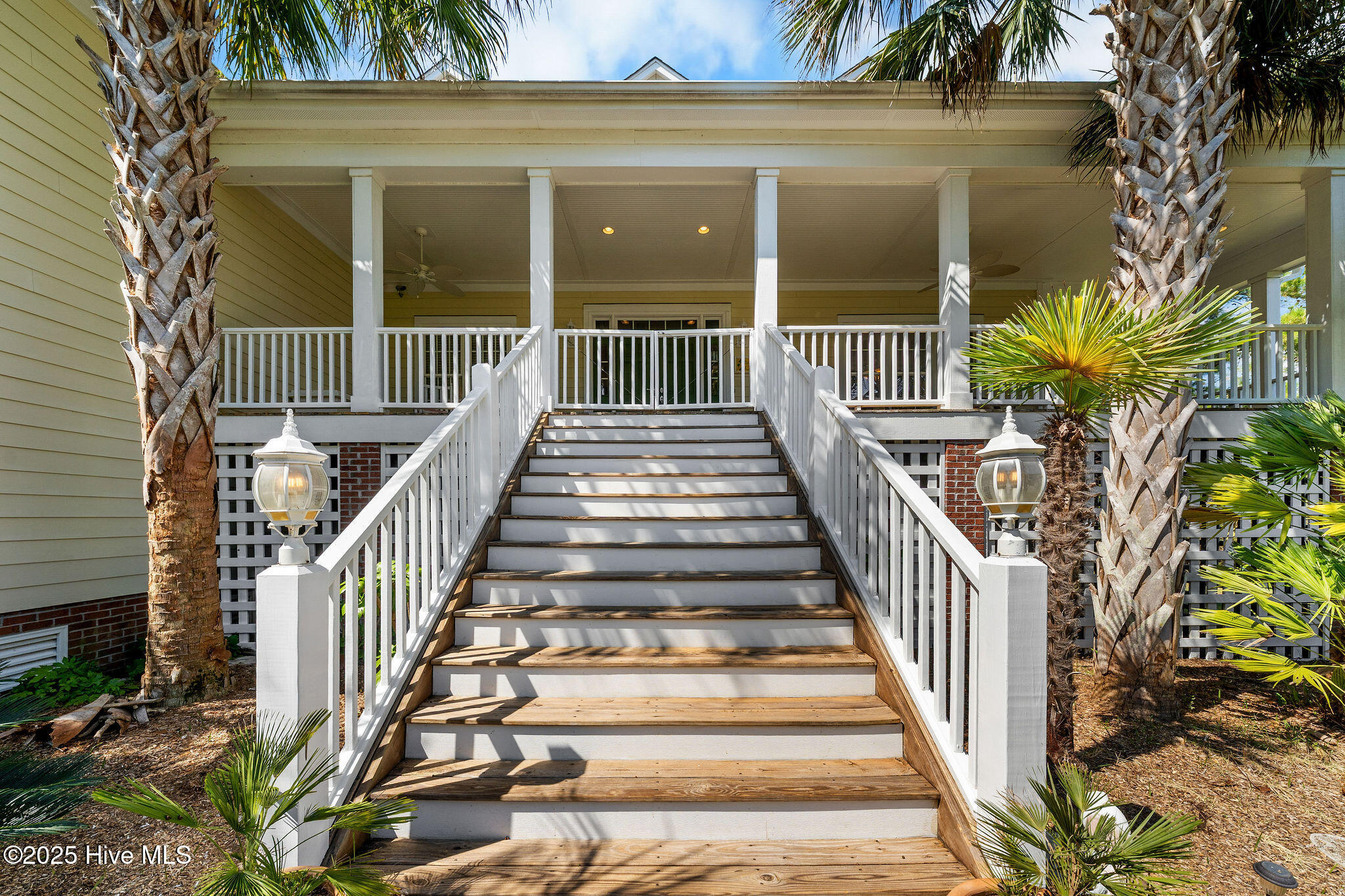 100532416 | Photo 98