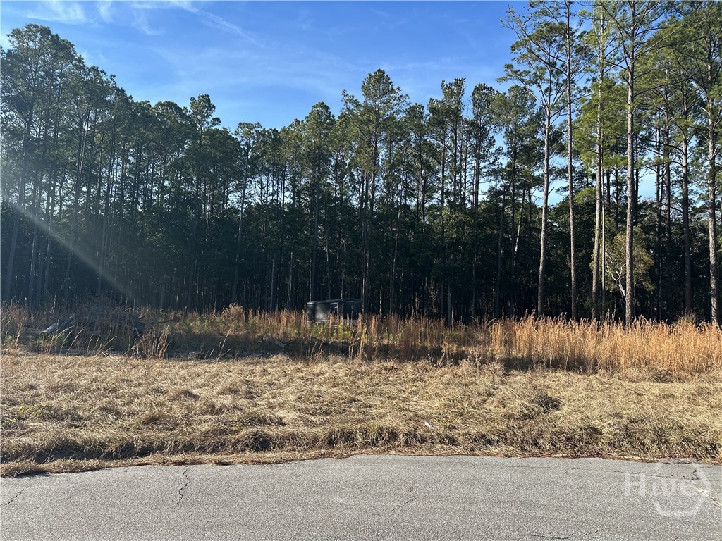 Homes for sale in Guyton, GA | 135 And 139 Greenbriar Dr, Guyton, GA 31312 | MLS# SA346291