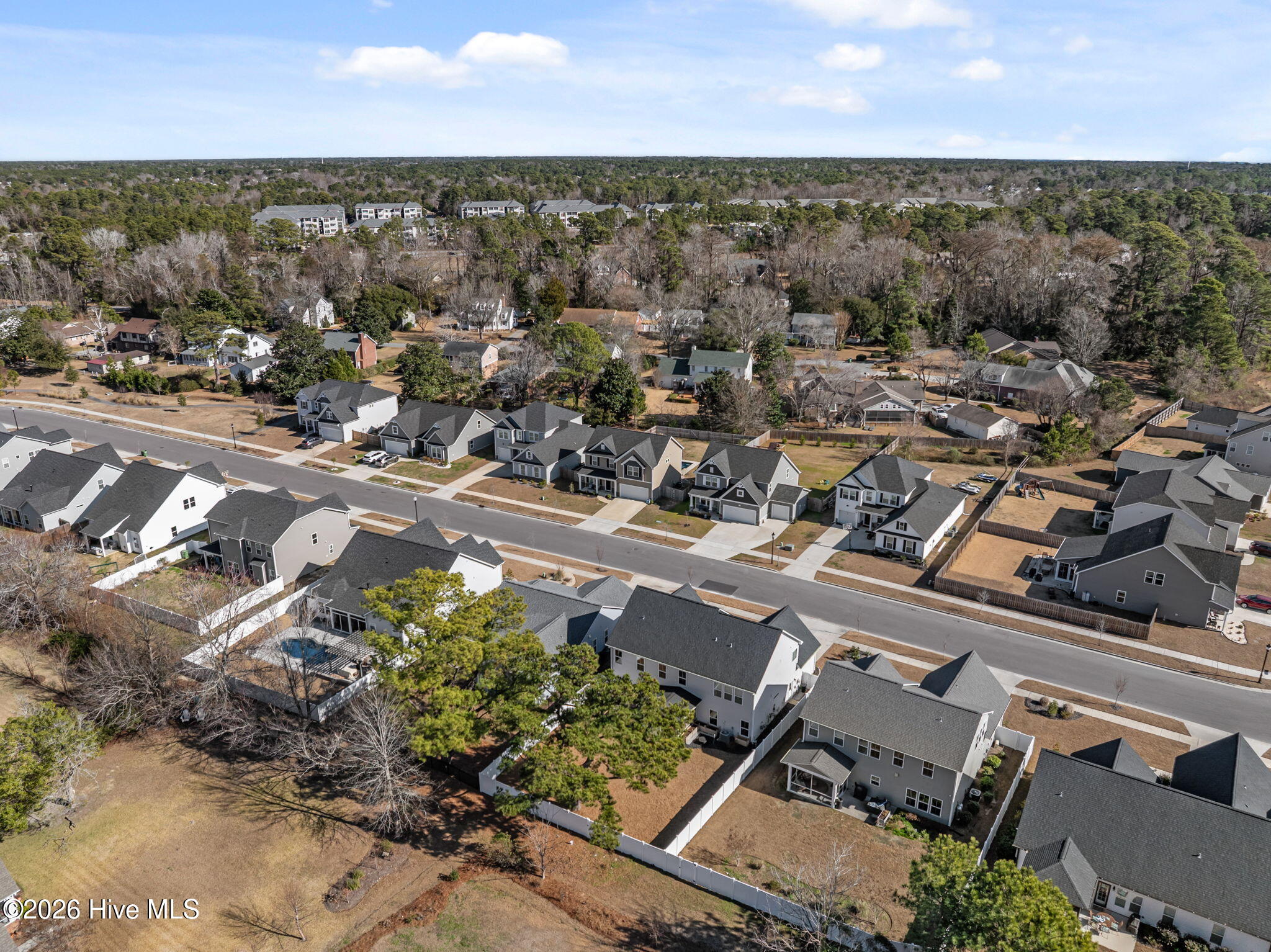 100549684 | Photo 43