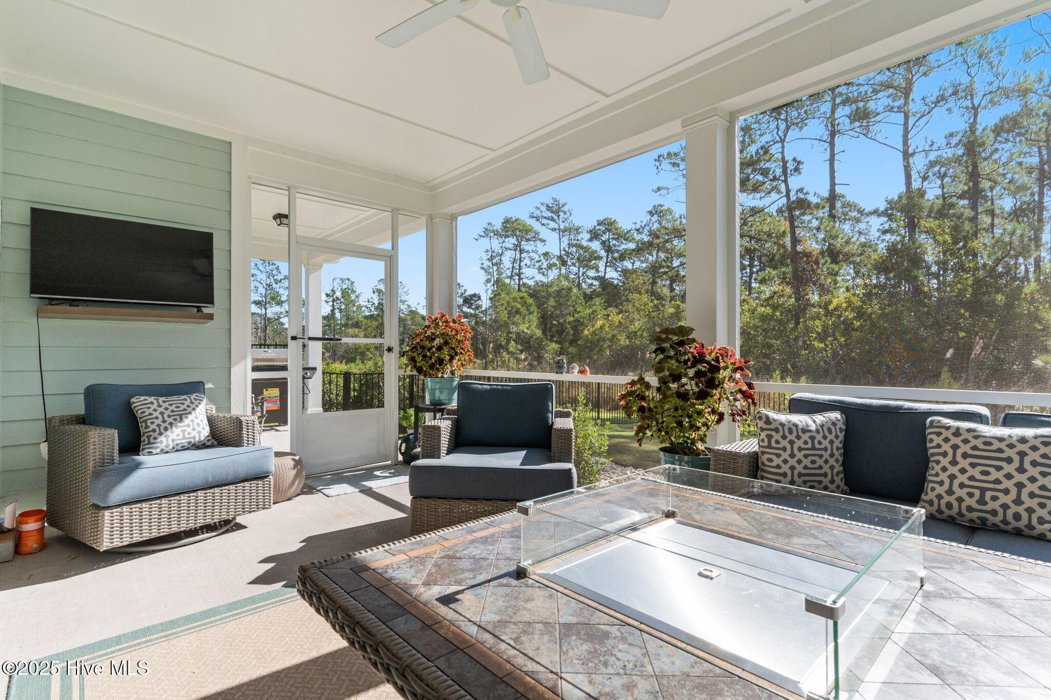 100534484 | Photo 39