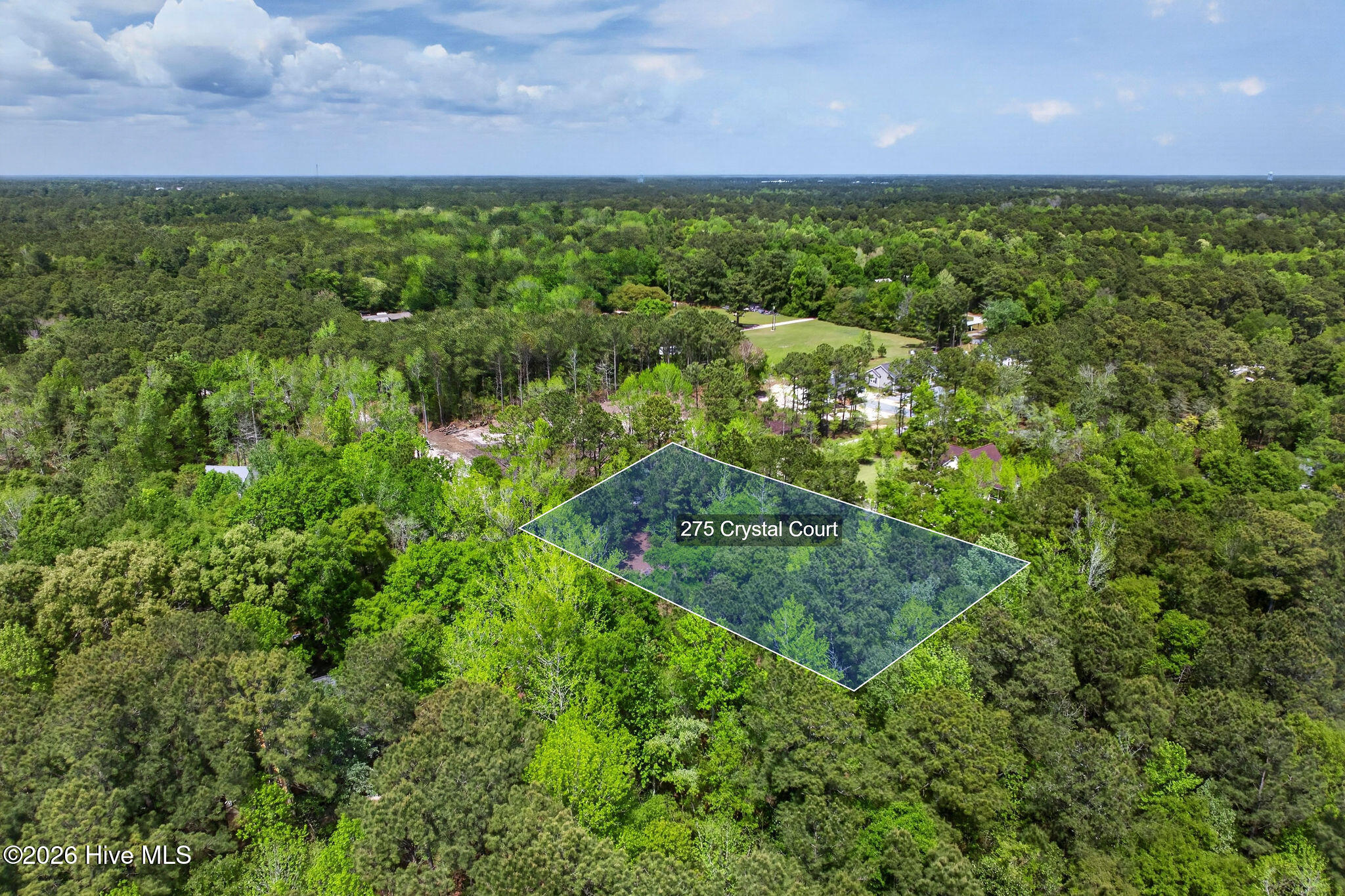 100566572 | Photo 10