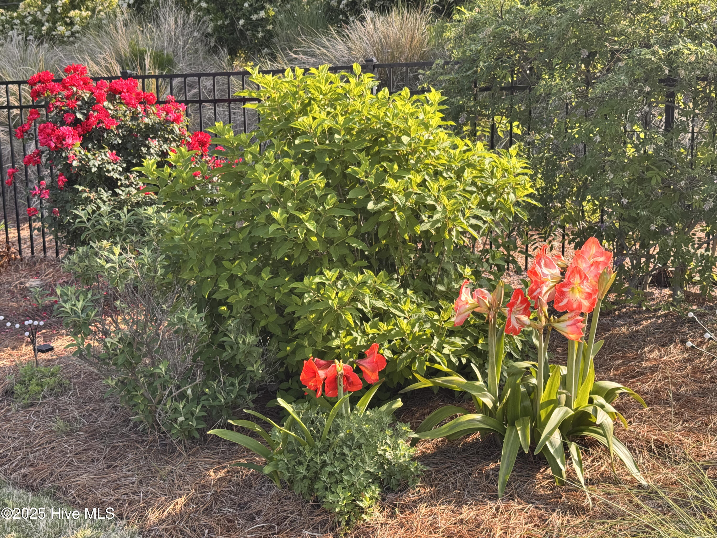 100545282 | Photo 62