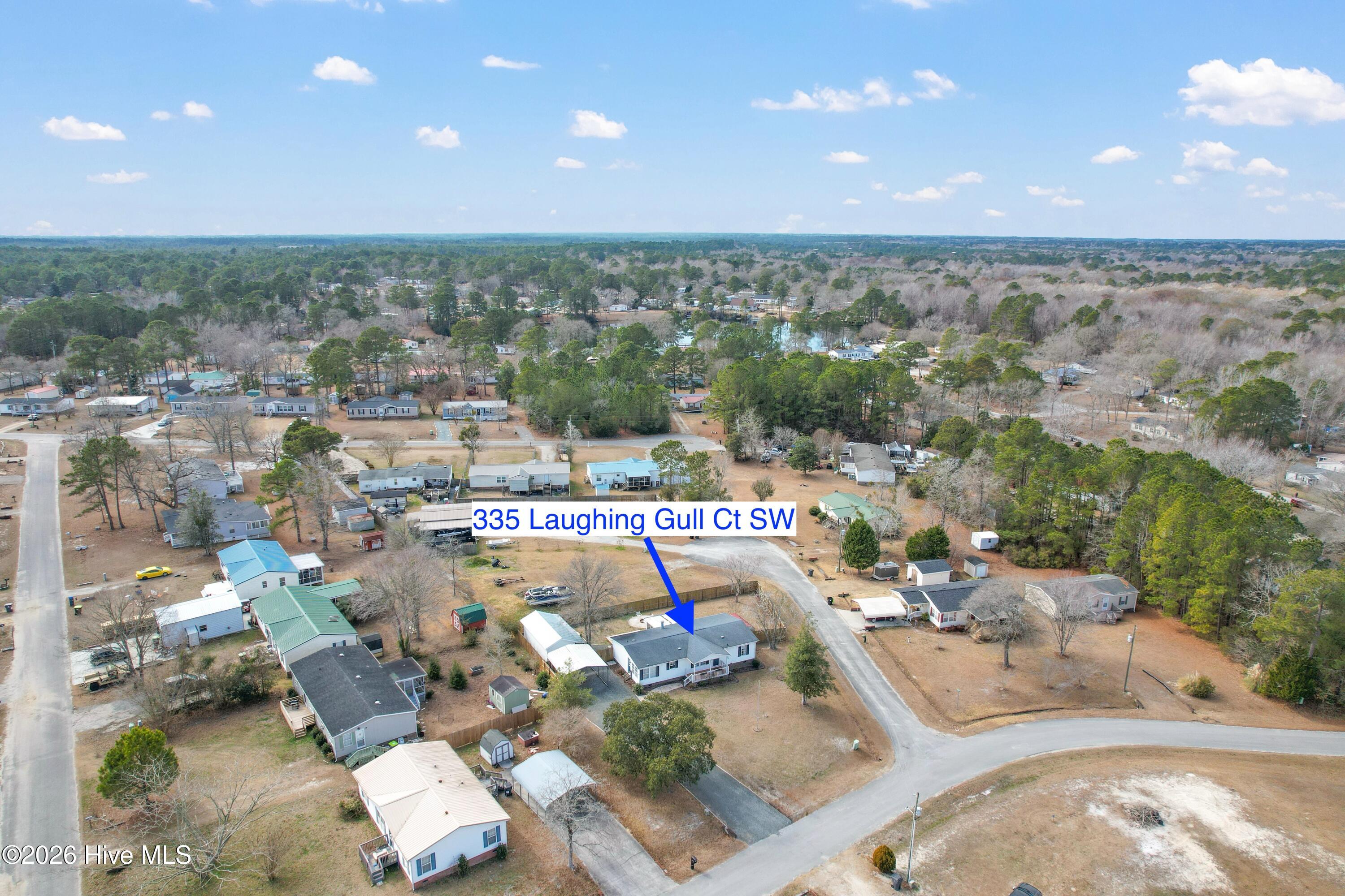 100553657 | Photo 38