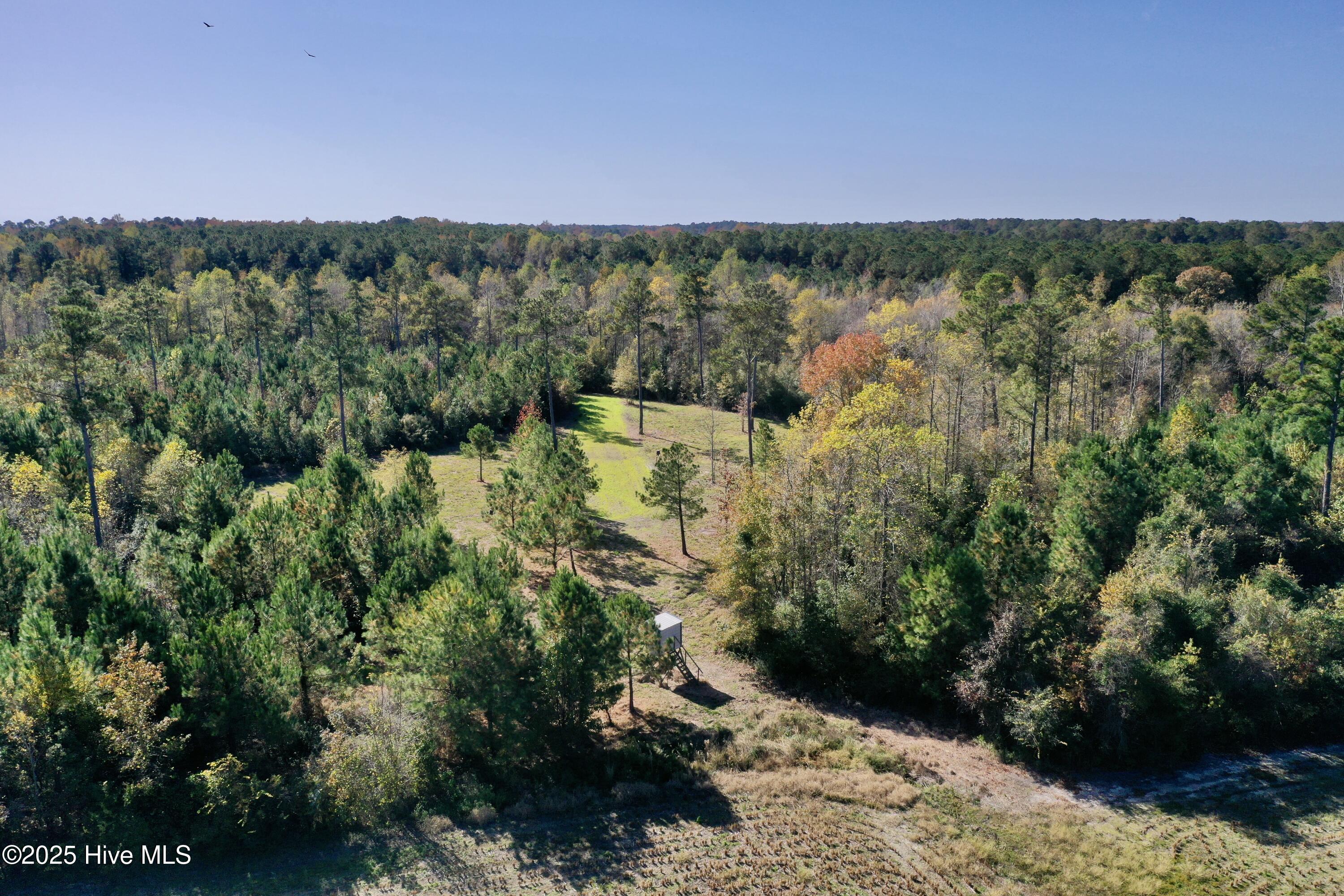 100541845 | Photo 18