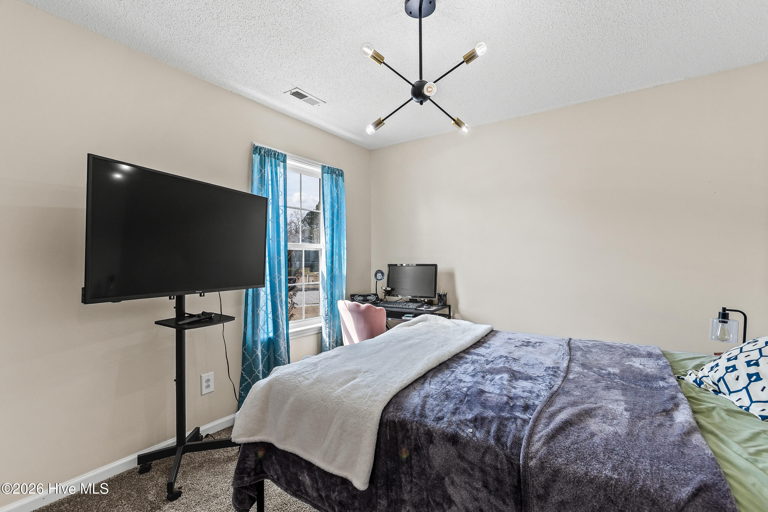 100558802 | Photo 19