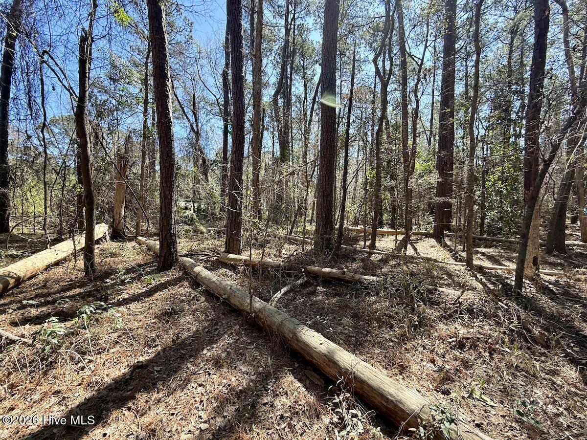 0 Lot 1 Creek Place Road,Arapahoe