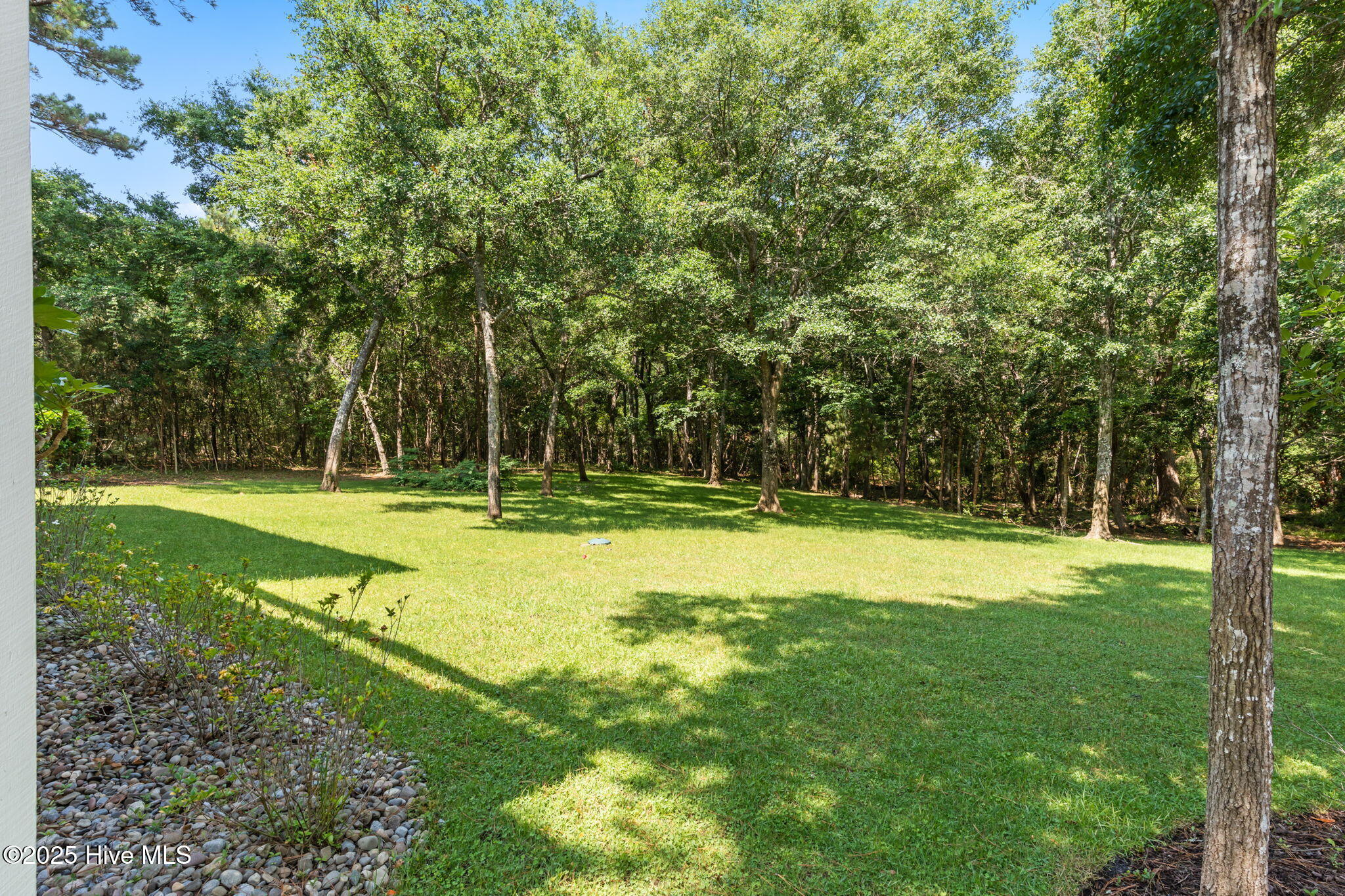 100512246 | Photo 59