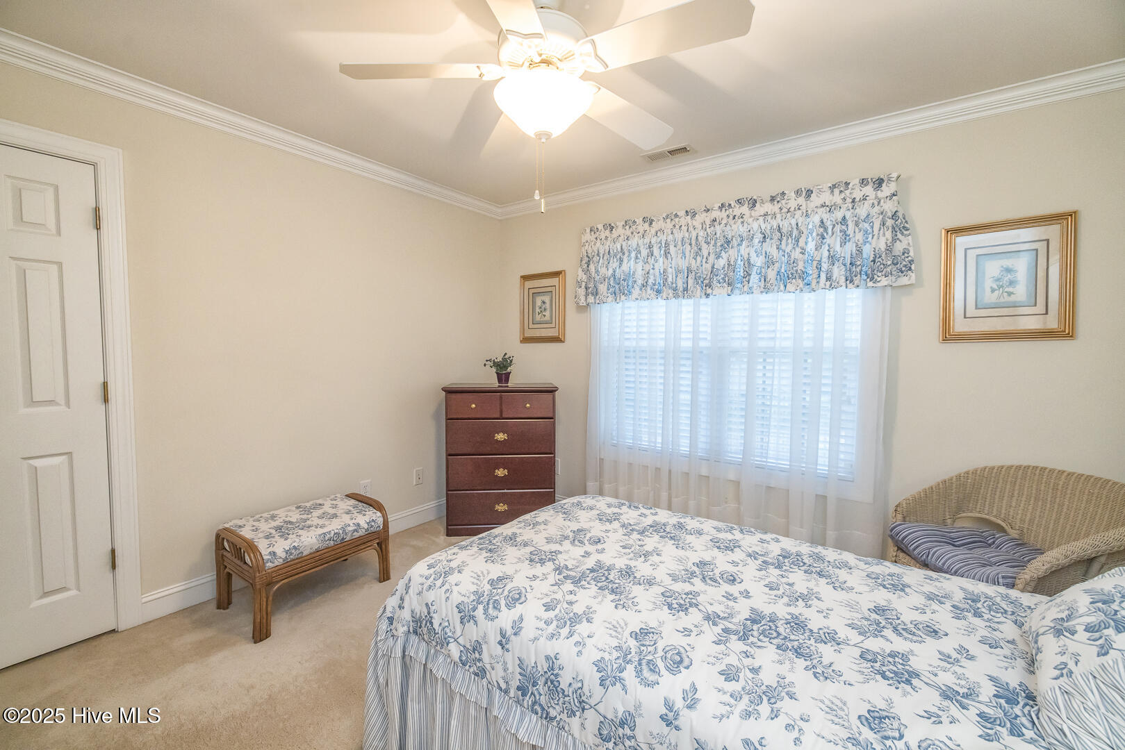 100538181 | Photo 40