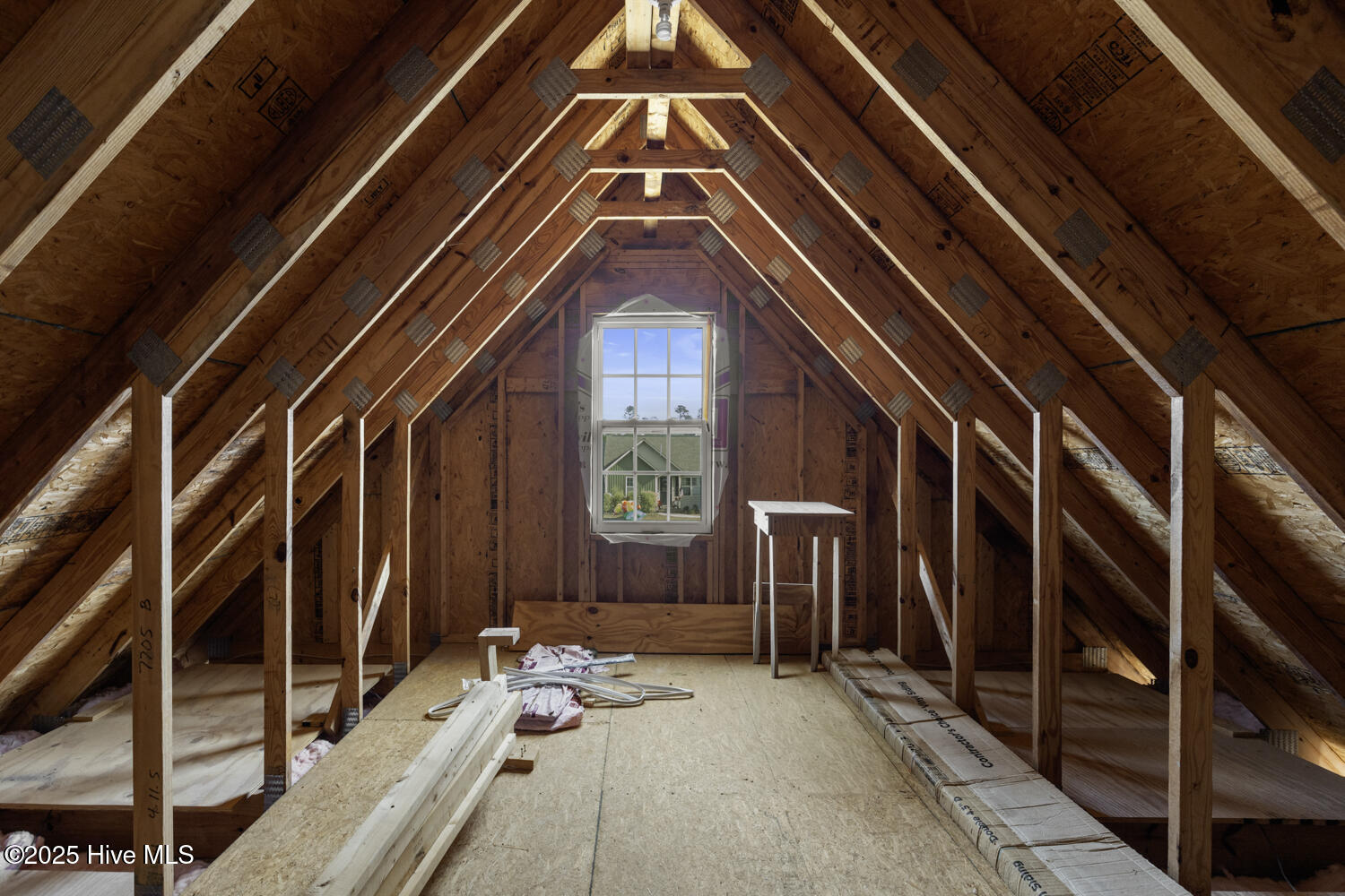 100543906 | Photo 30