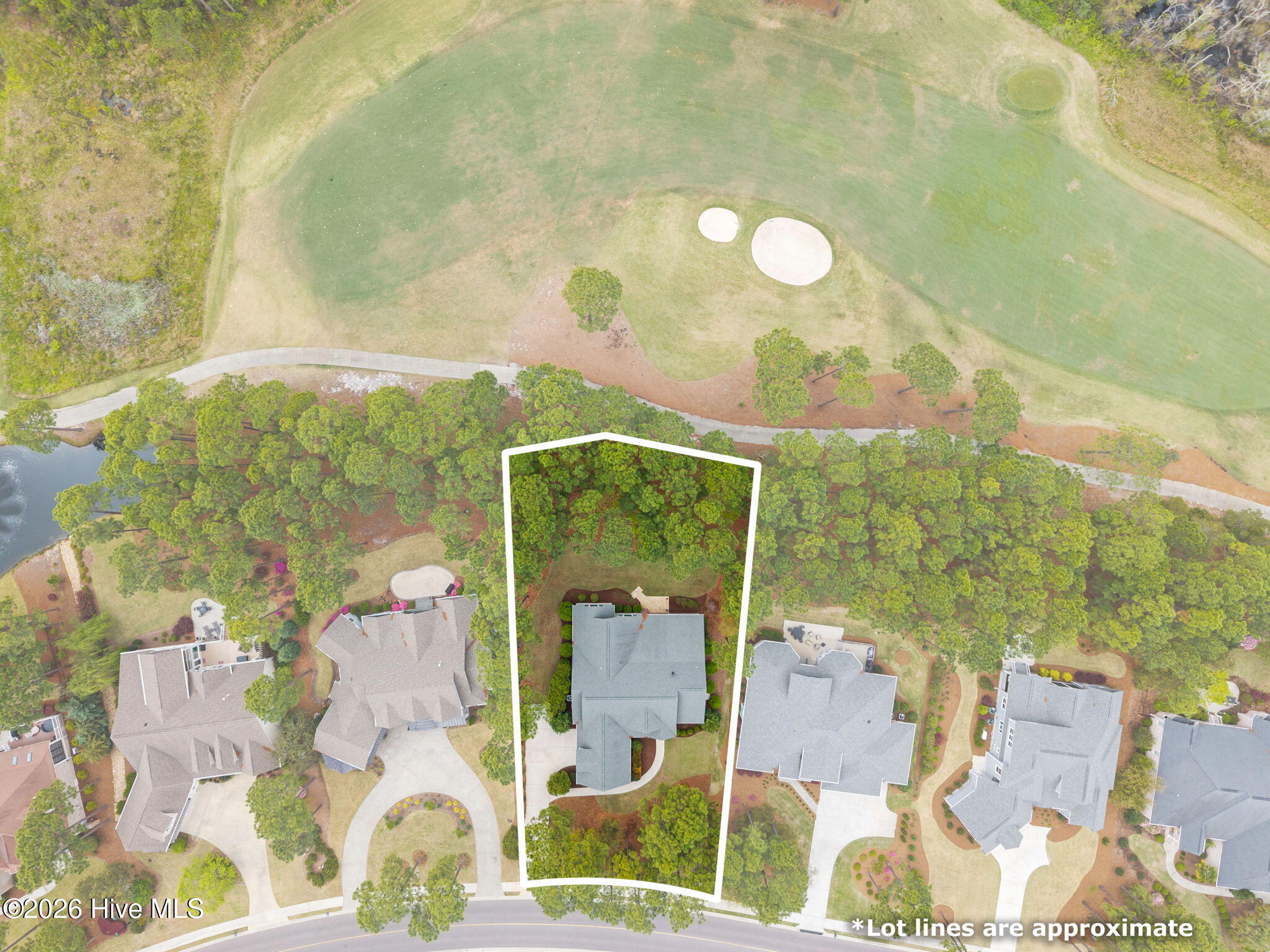 100566605 | Photo 54