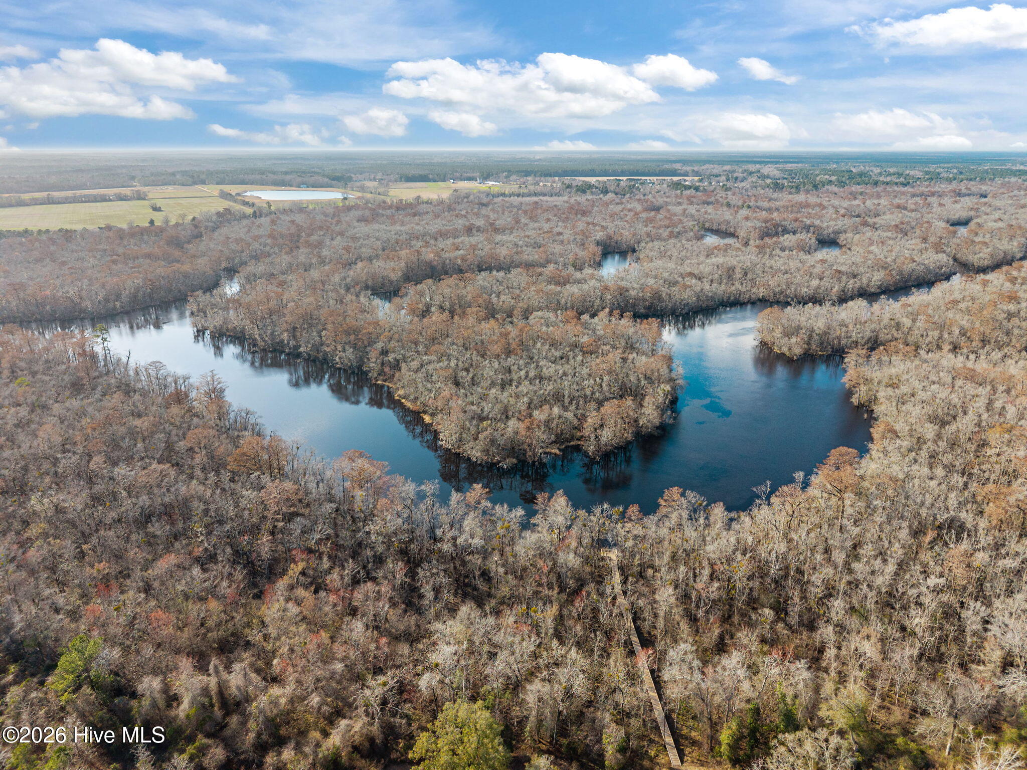 100558156 | Photo 52