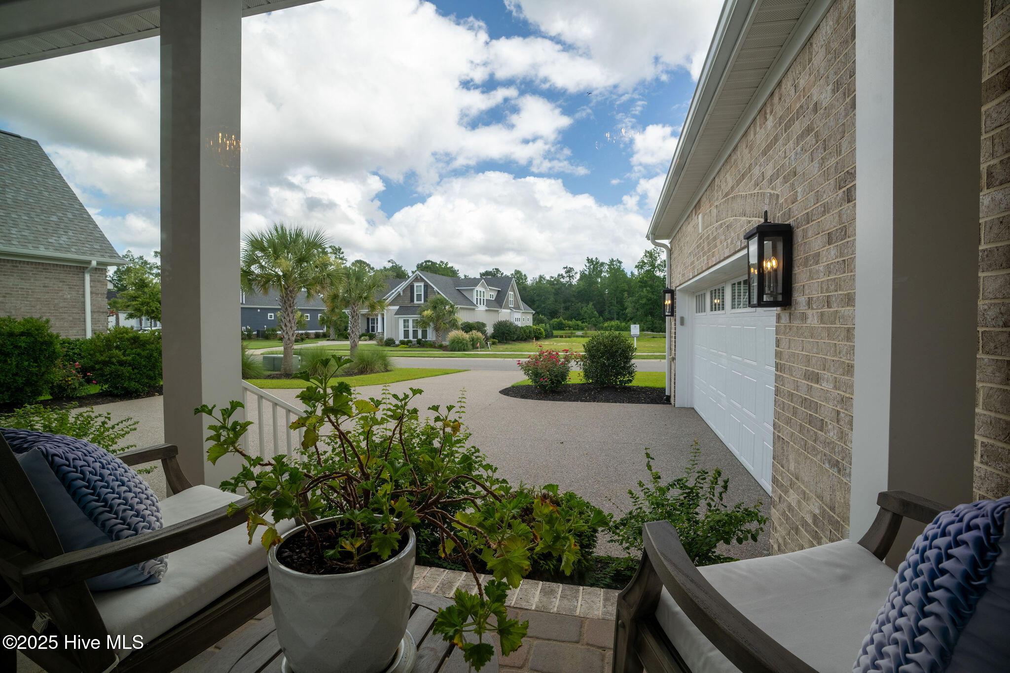 100517606 | Photo 13