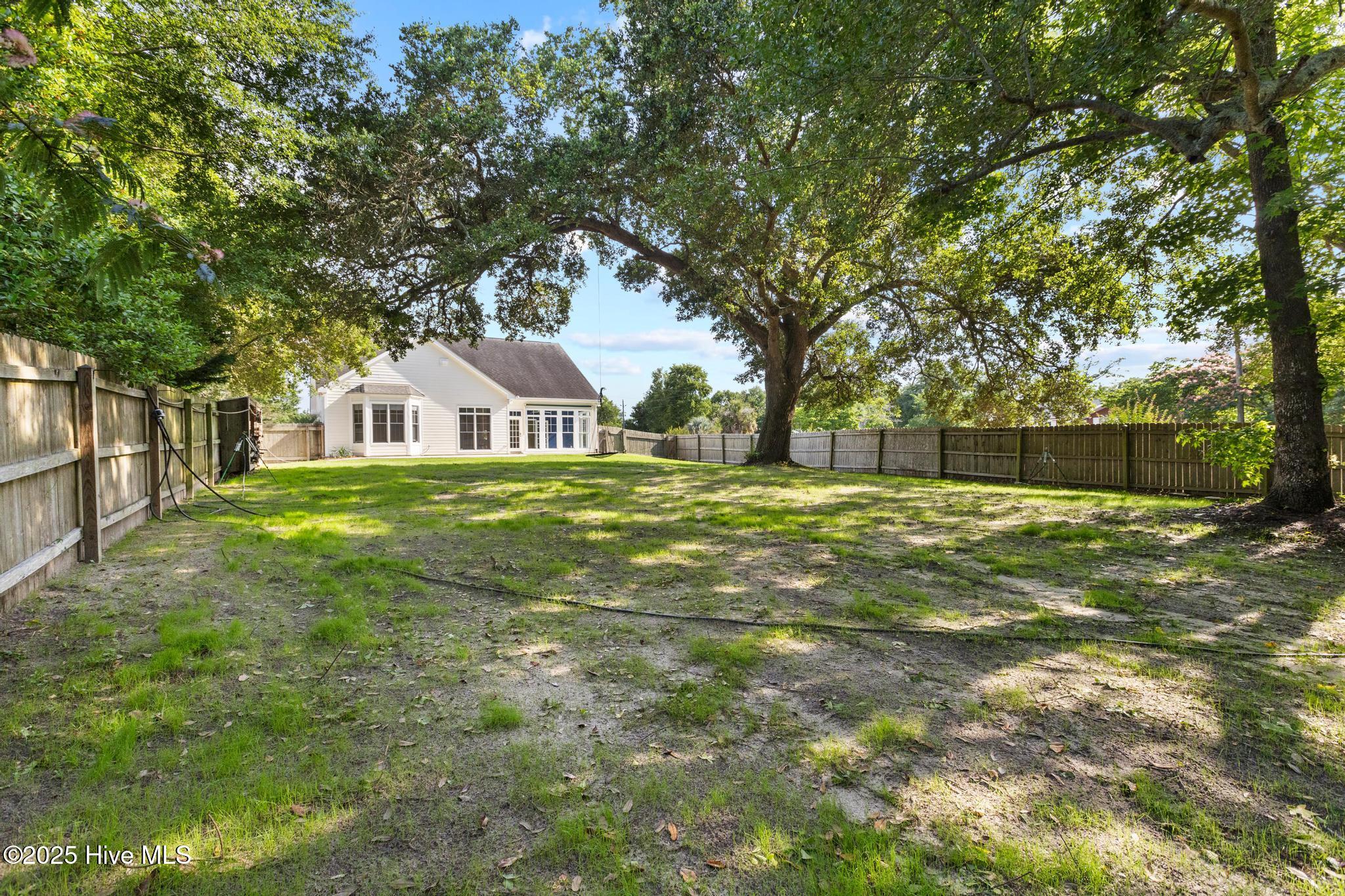 100512903 | Photo 61