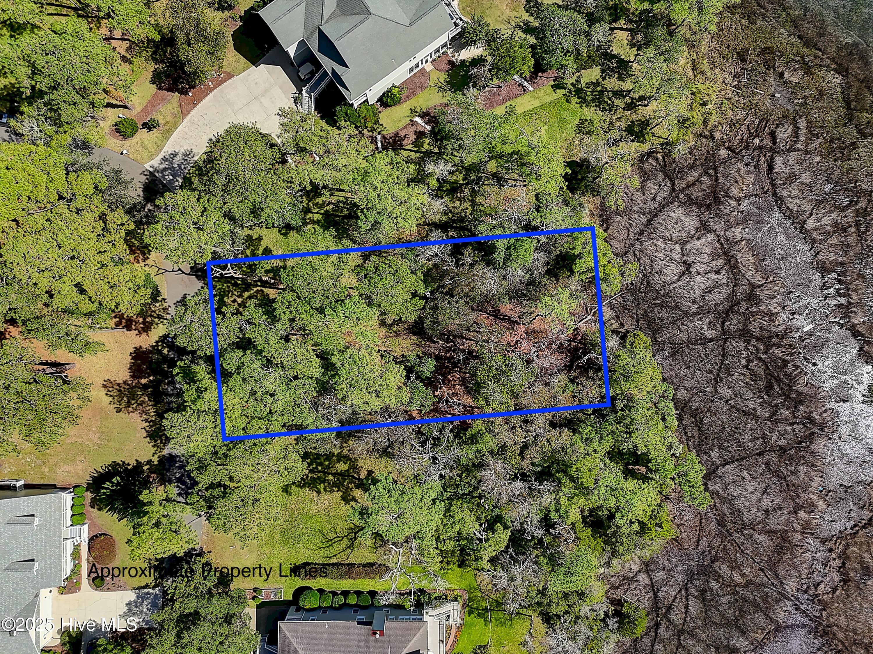 100533806 | Photo 10