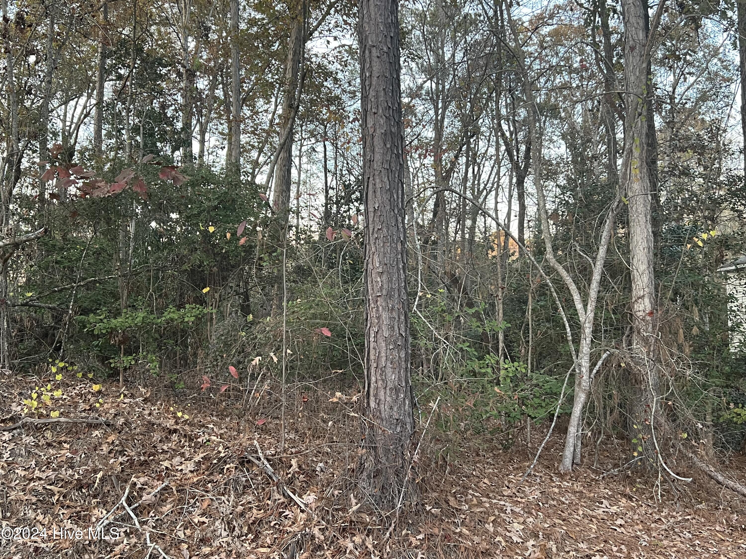 Homes for sale in Whispering Pines, NC | 204 Lakeview Dr, Whispering Pines, NC 28327 | MLS# 100552420