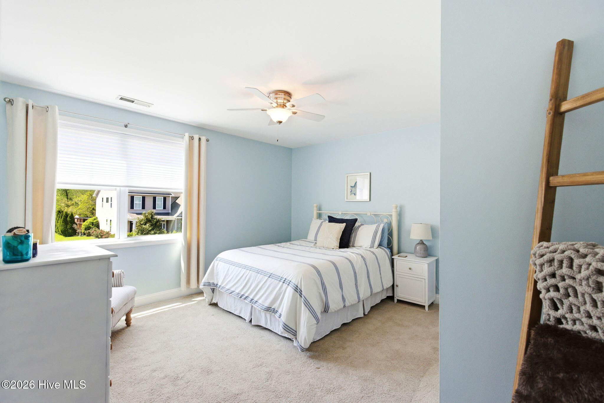 100566118 | Photo 24