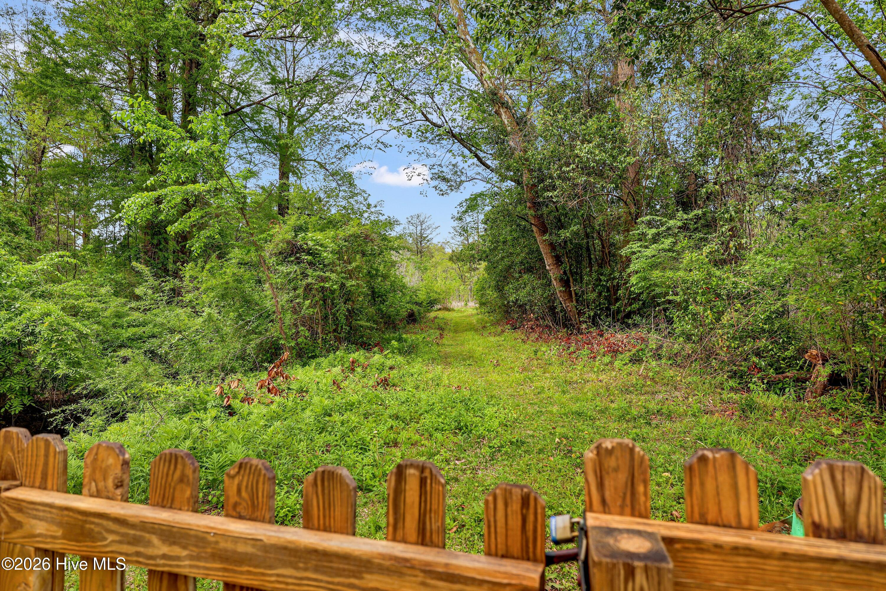 100564769 | Photo 33