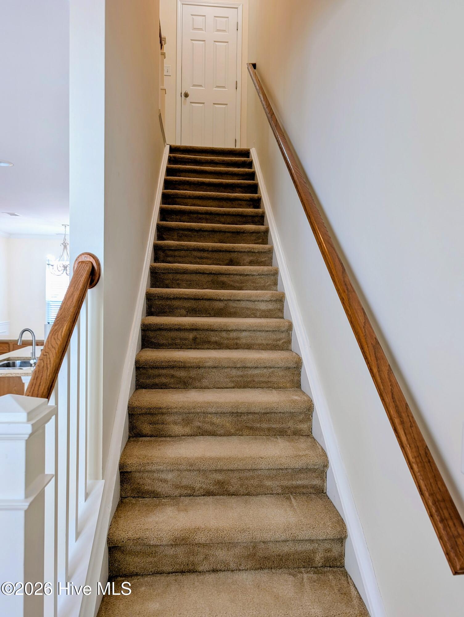 100555293 | Photo 12