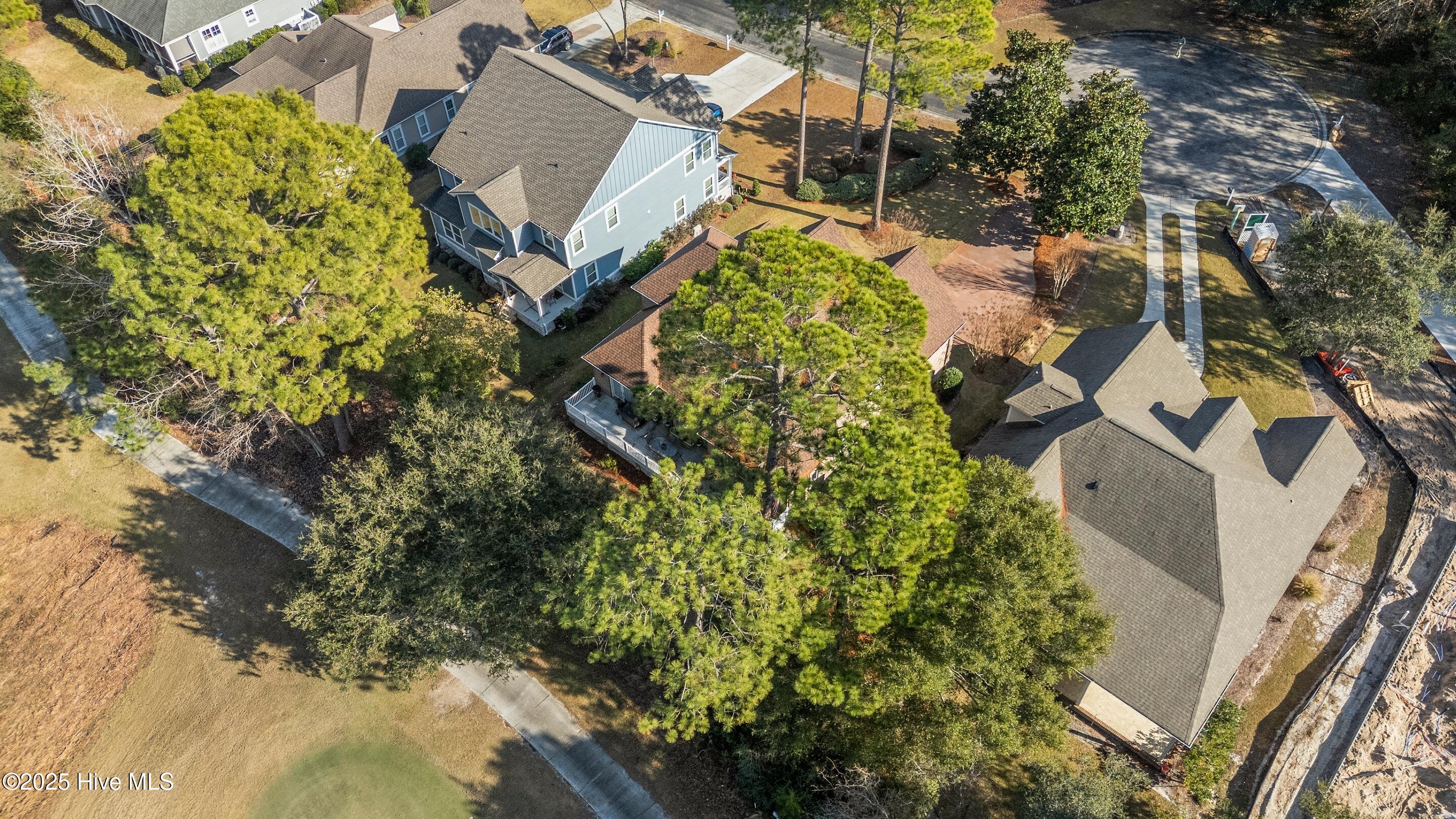 100545020 | Photo 43