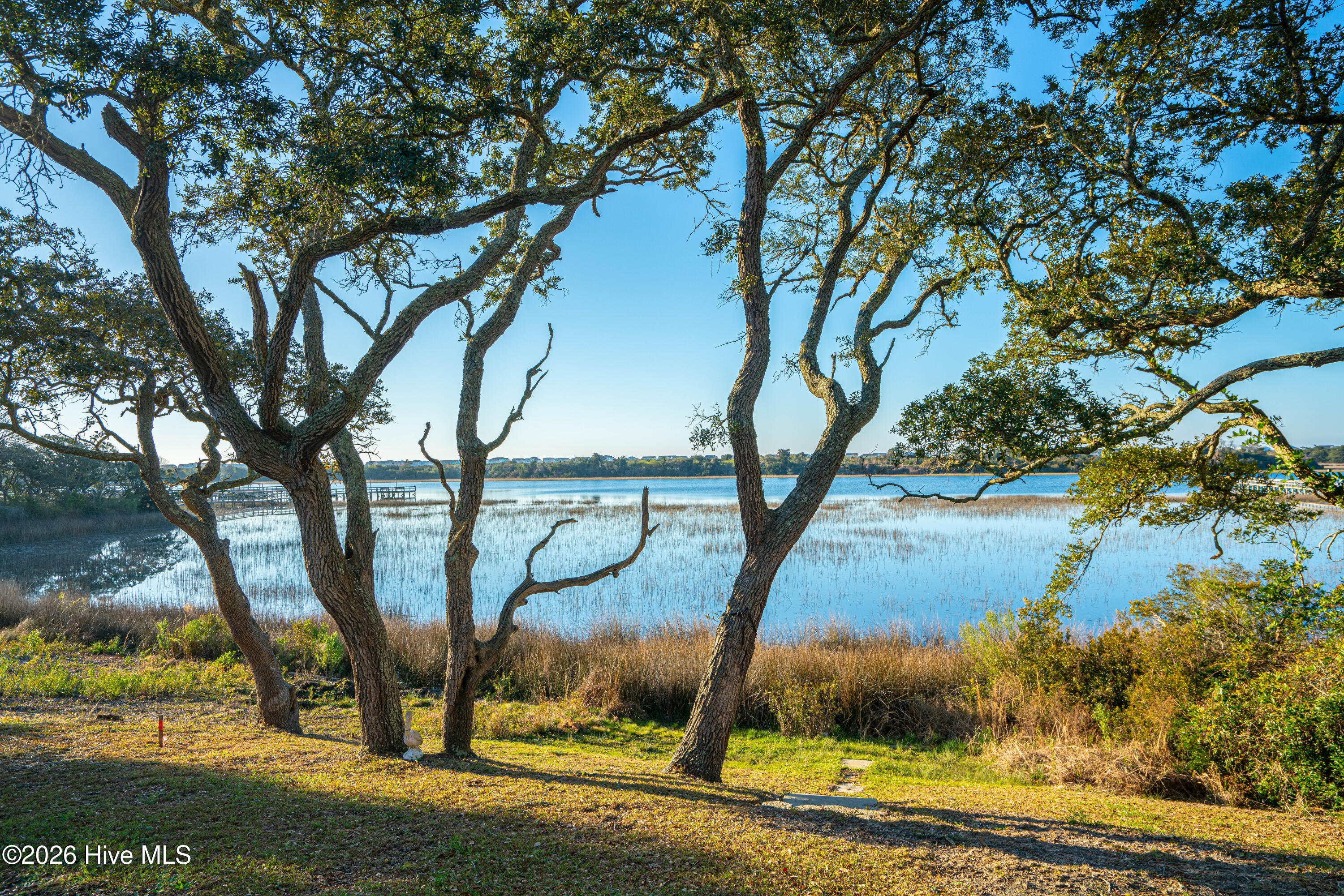 100561840 | Photo 39