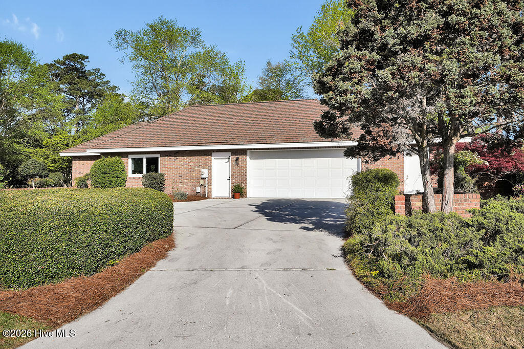 100565103 | Photo 51