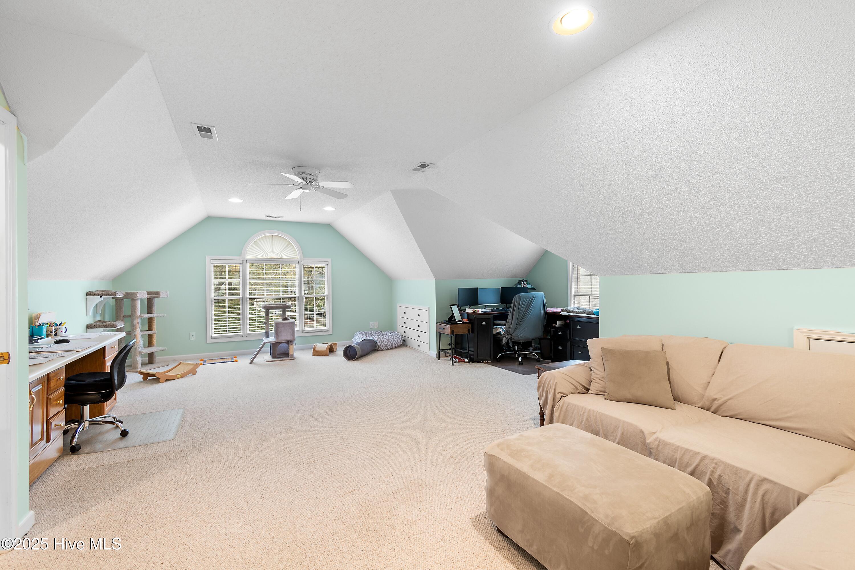 100556146 | Photo 31