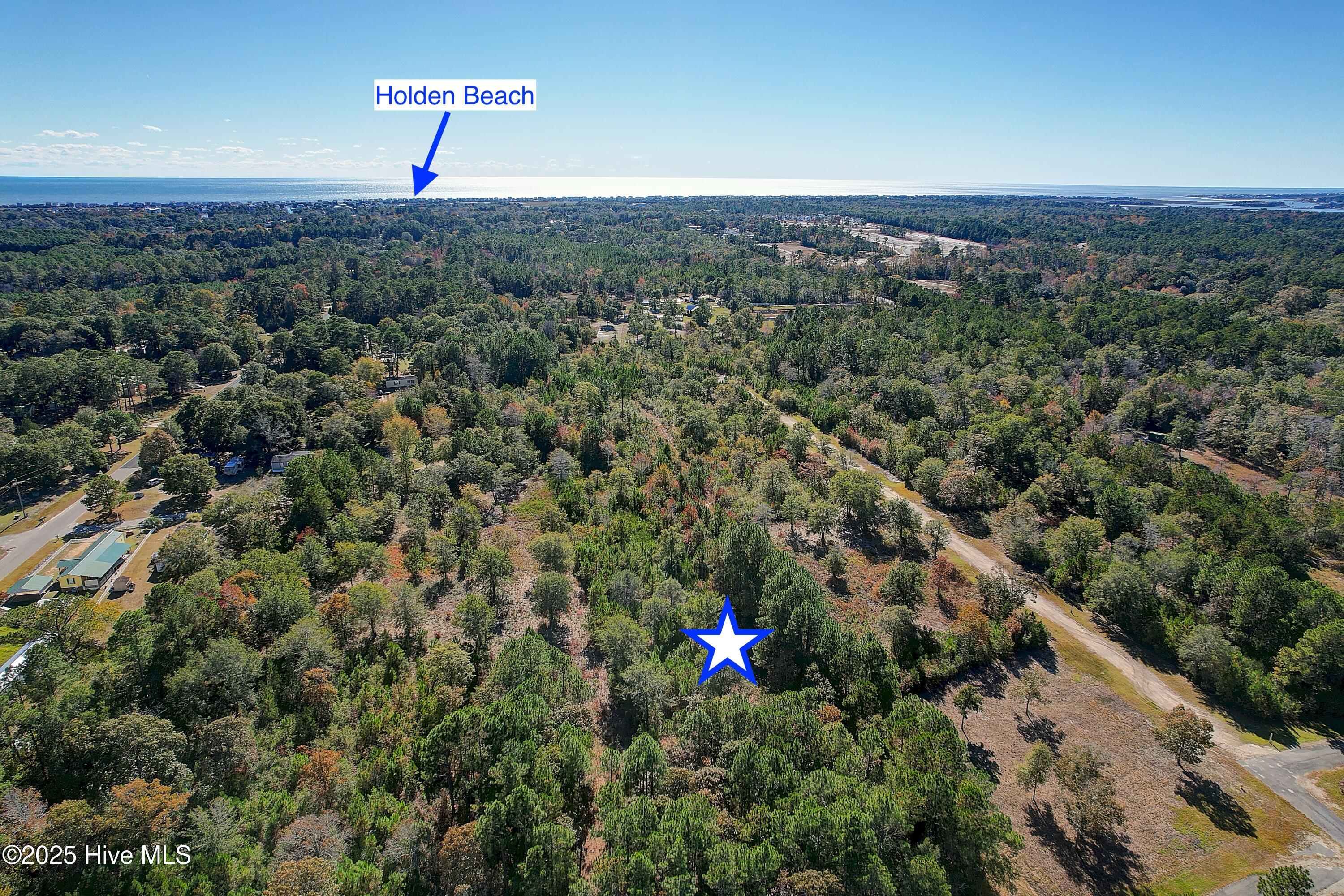 100541253 | Photo 13