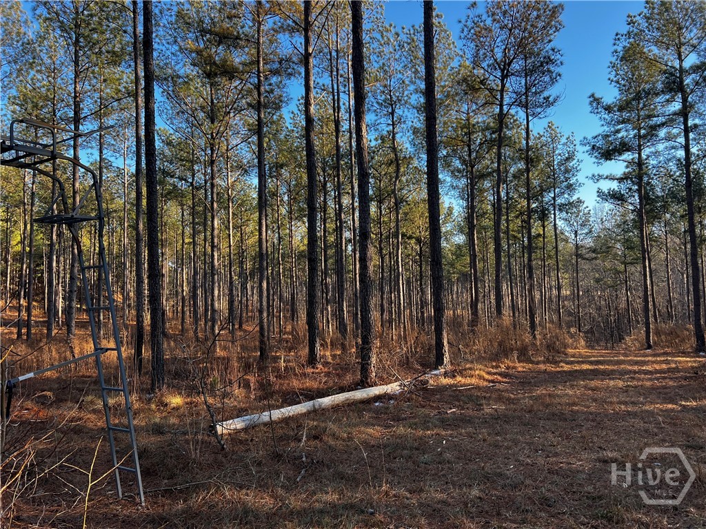 2285 Cherokee Road, Comer, GA, 30629