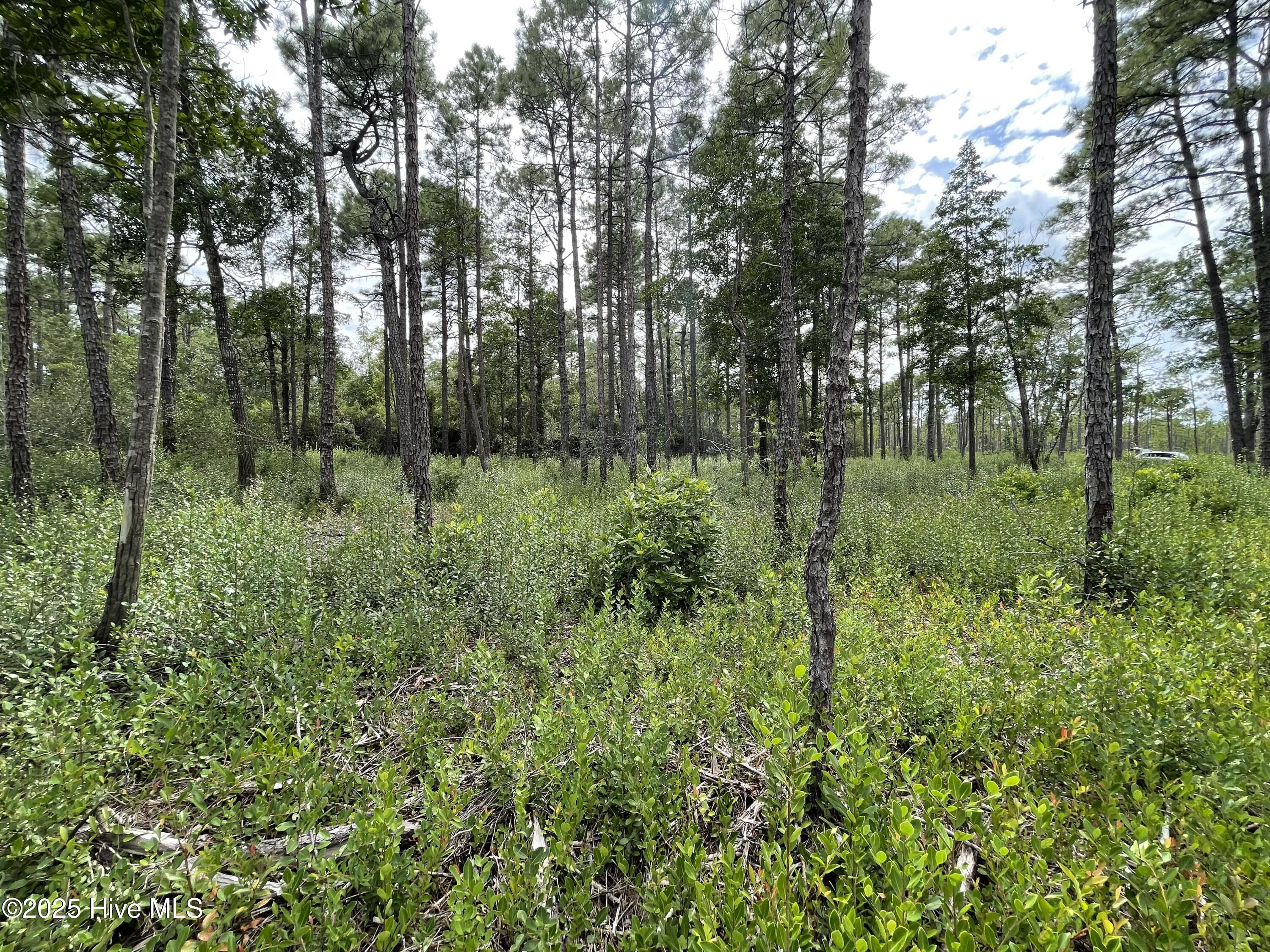 100527891 | Photo 13