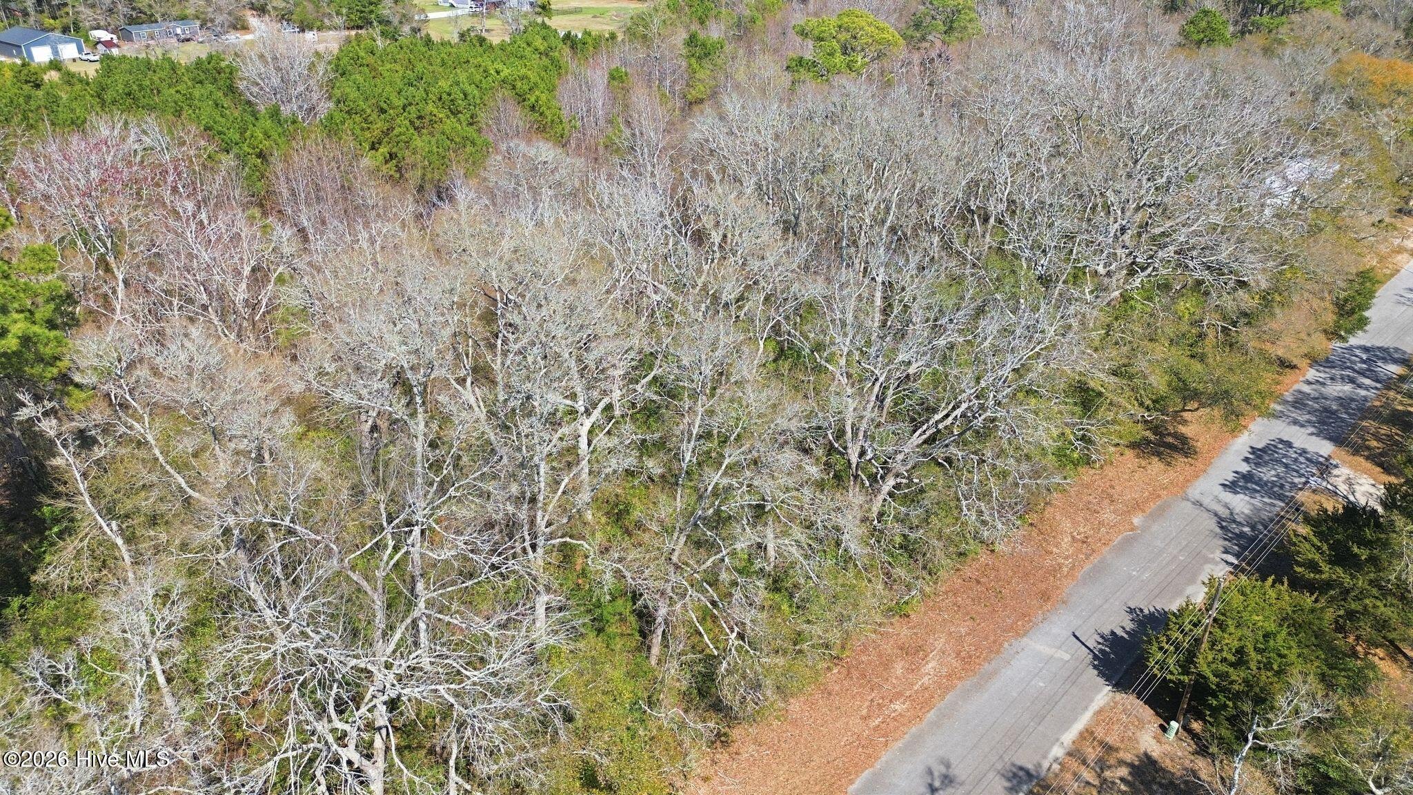 100560126 | Photo 20