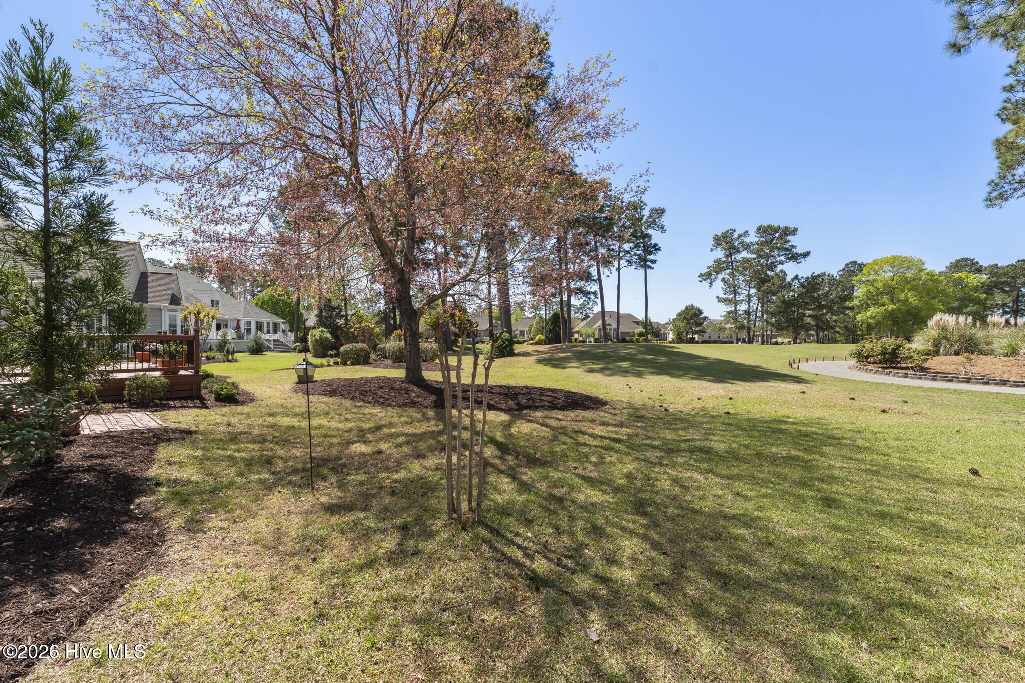 100563951 | Photo 50