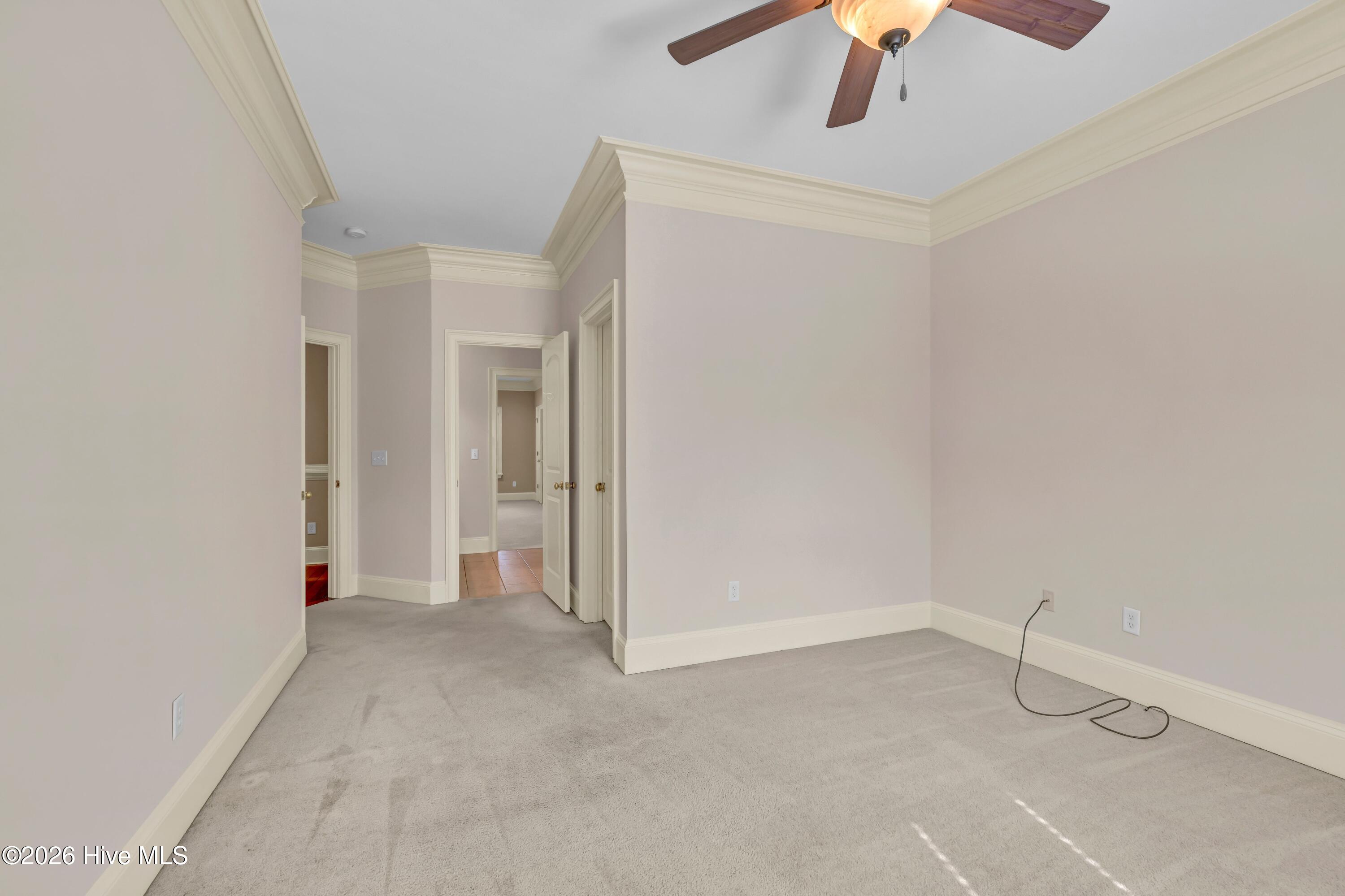 100556623 | Photo 46