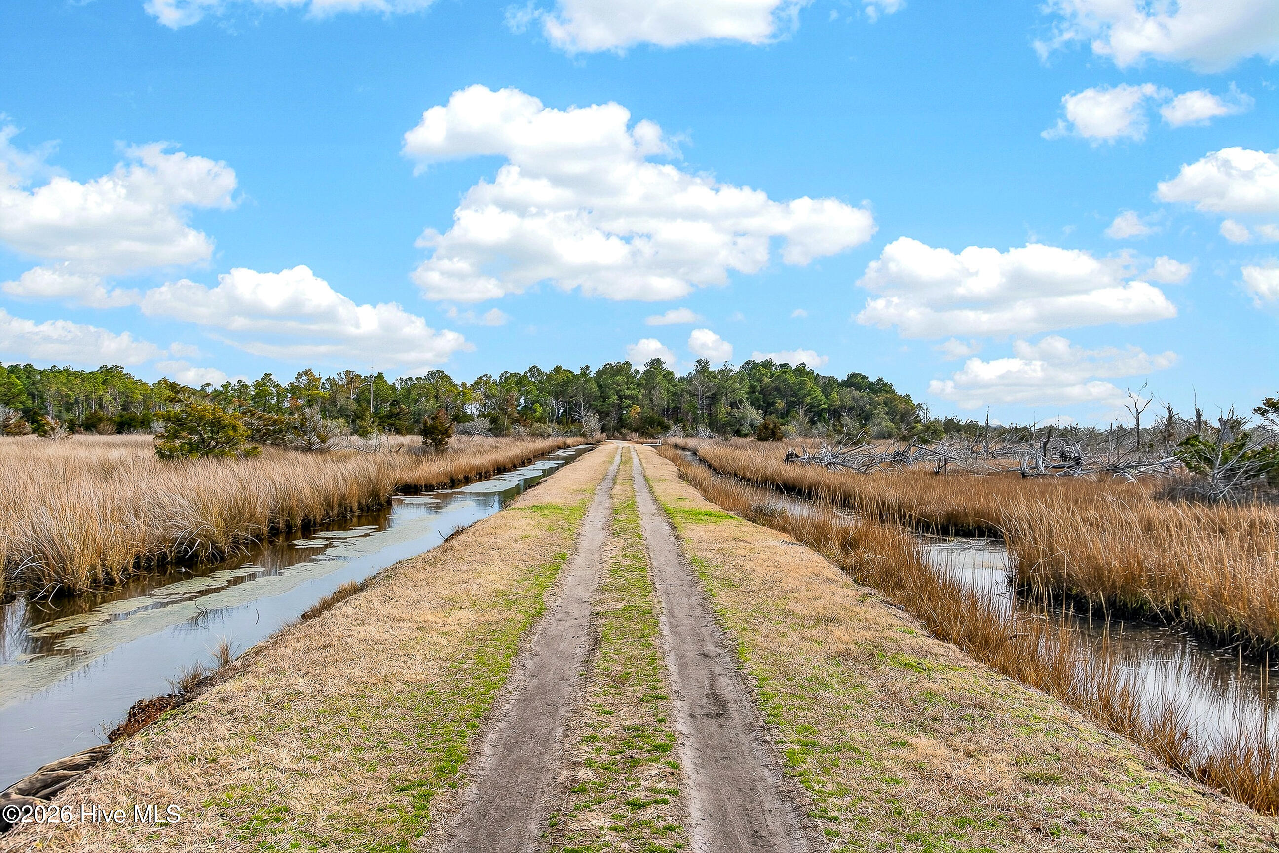 100558973 | Photo 40