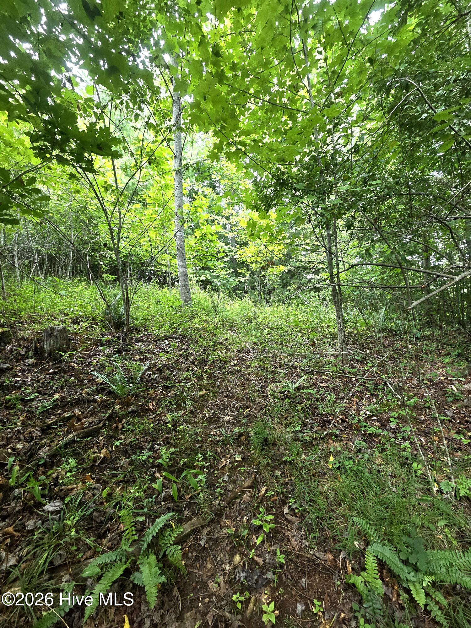 5th image of 50 Camp Branch Rd, Topton, NC 28781 | MLS# 100590283