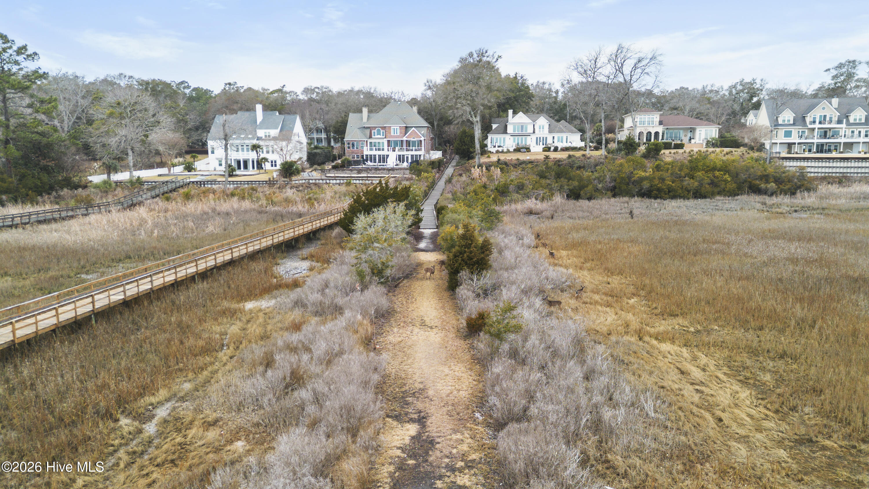 100553225 | Photo 17