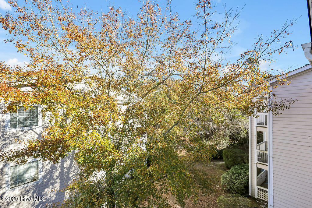 100546655 | Photo 29