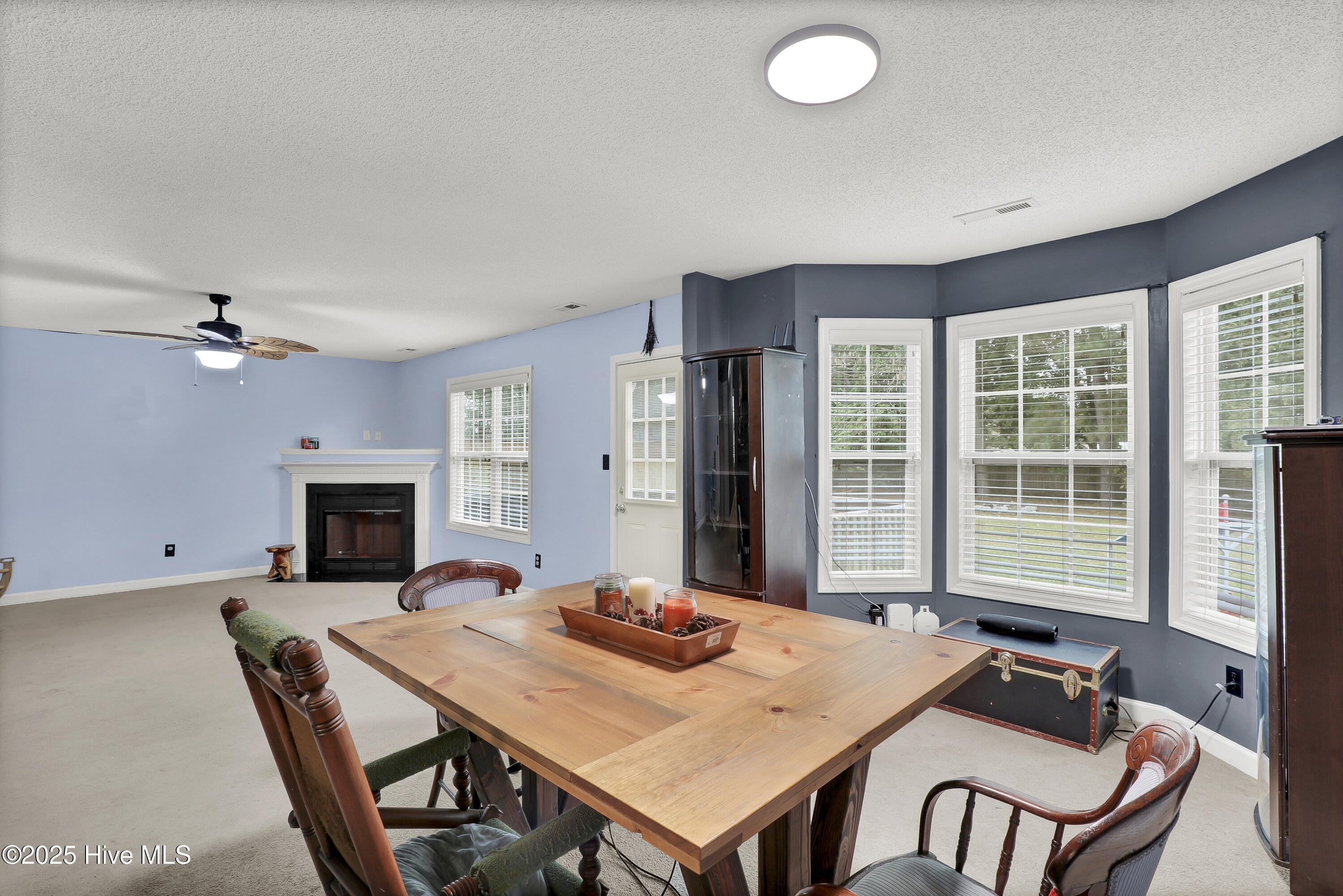 100536597 | Photo 12