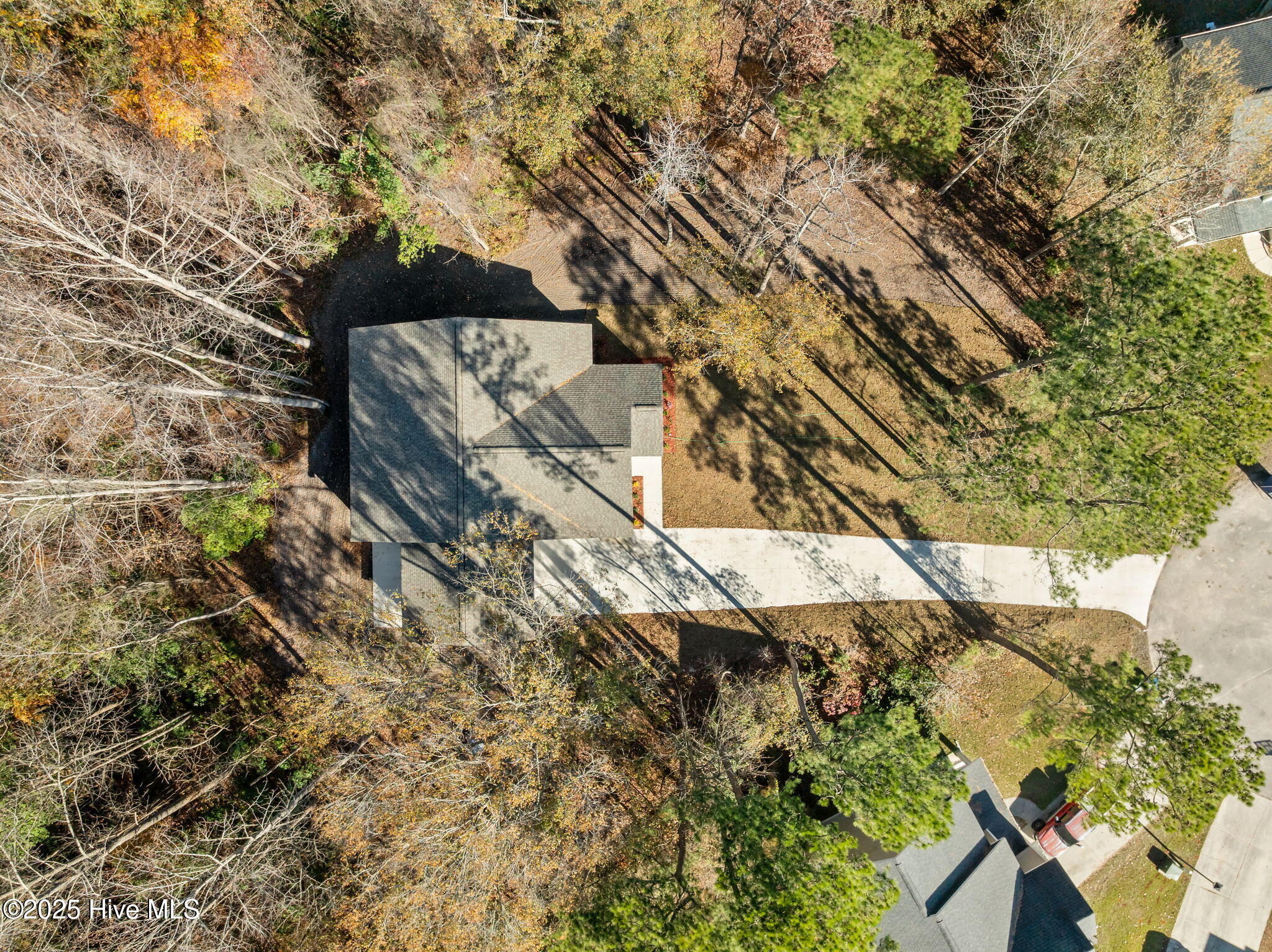 100542869 | Photo 50