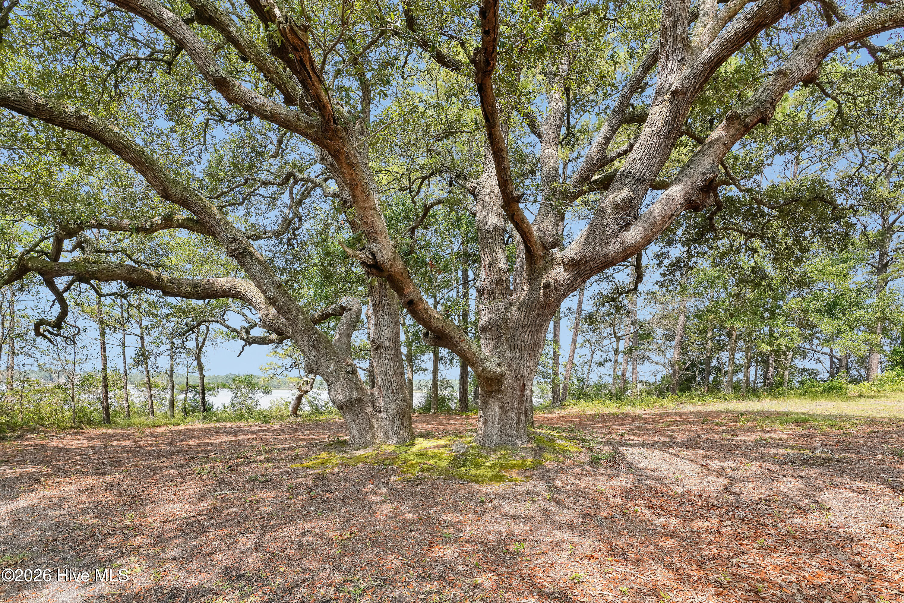 100549954 | Photo 28