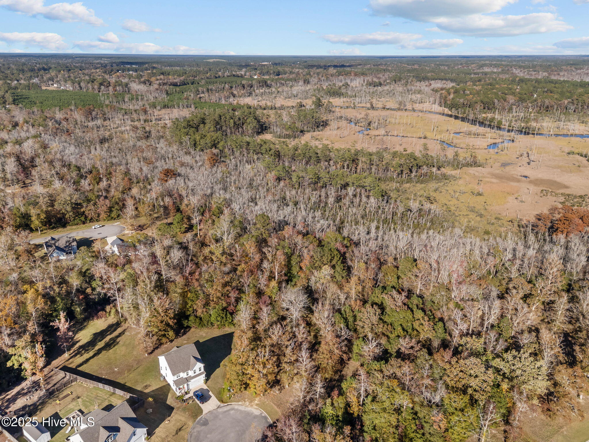 100540368 | Photo 19