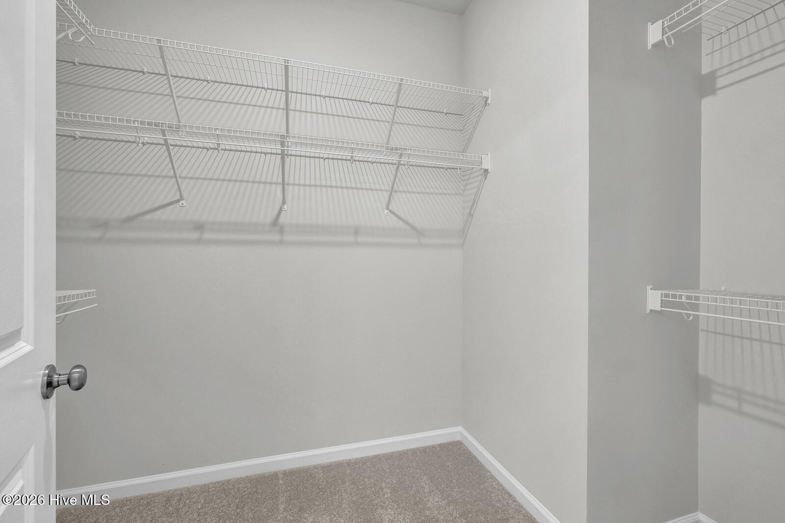 100538146 | Photo 16