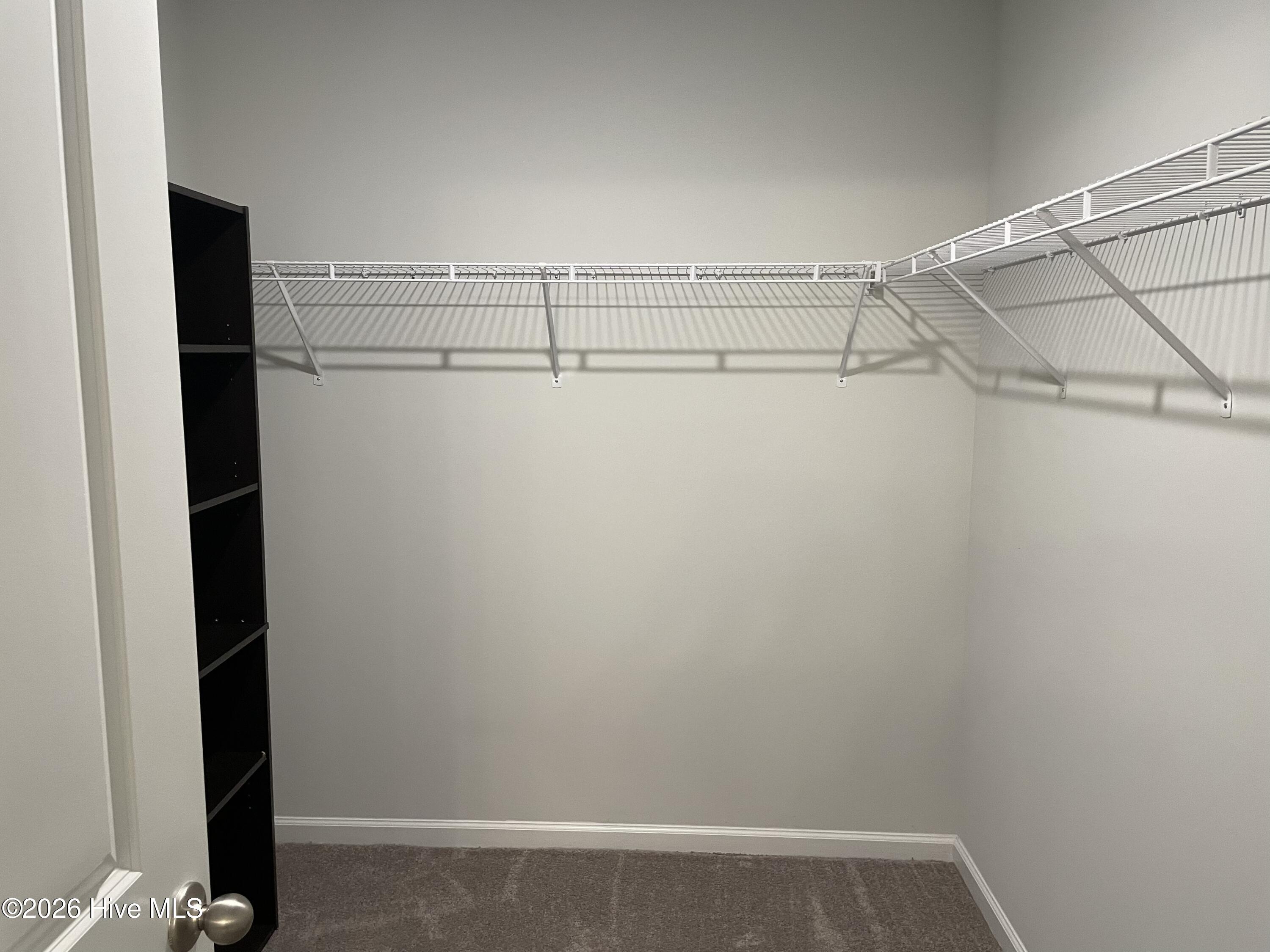 100562231 | Photo 30